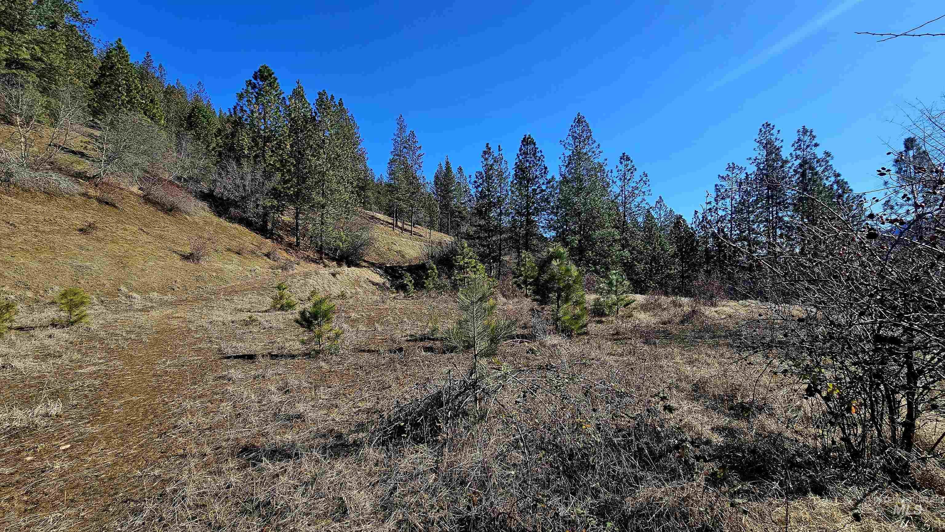 618 Quail Dr, Ahsahka, Idaho 83520, Land For Sale, Price $249,000,MLS 98976691