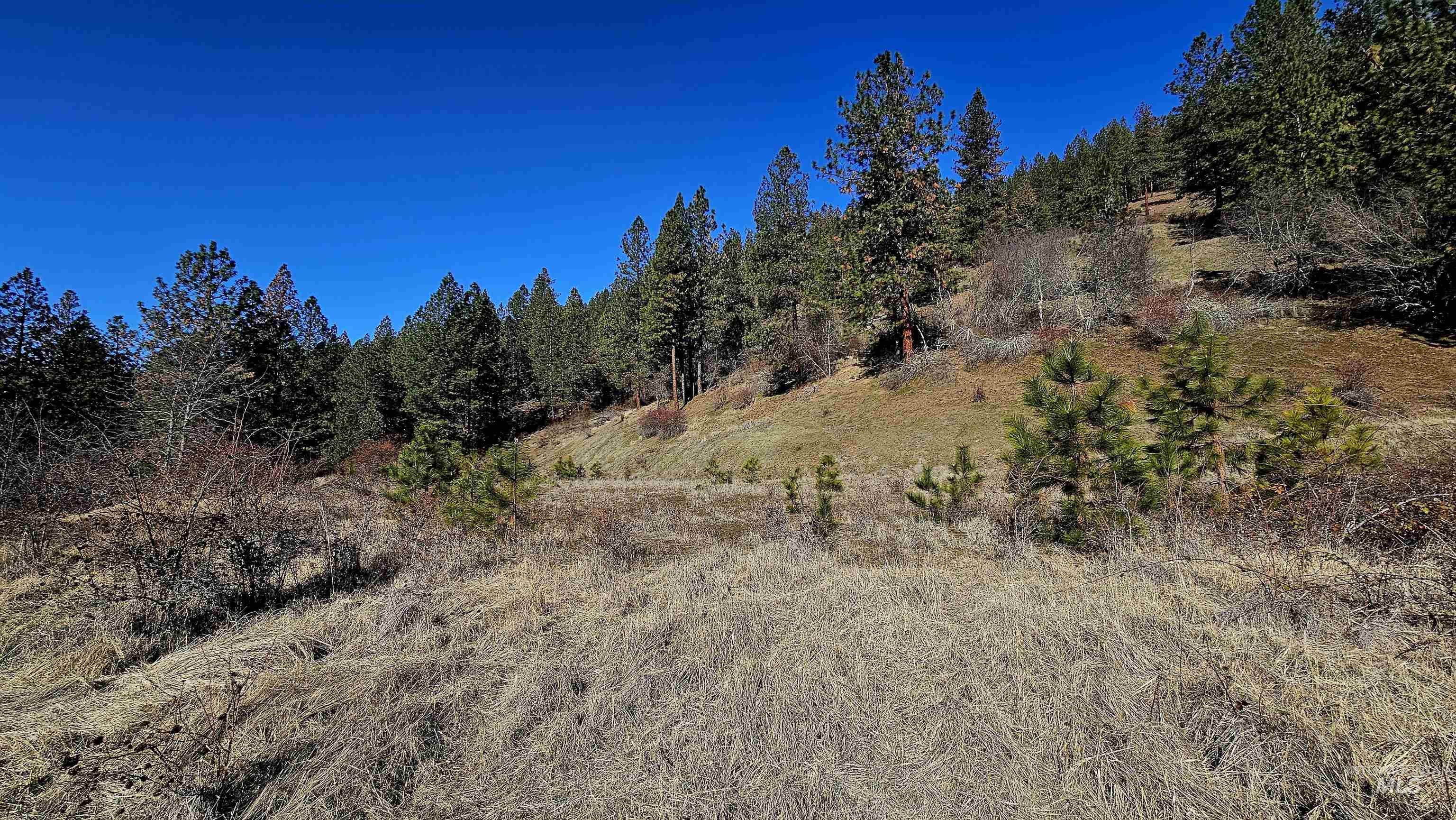618 Quail Dr, Ahsahka, Idaho 83520, Land For Sale, Price $249,000,MLS 98976691