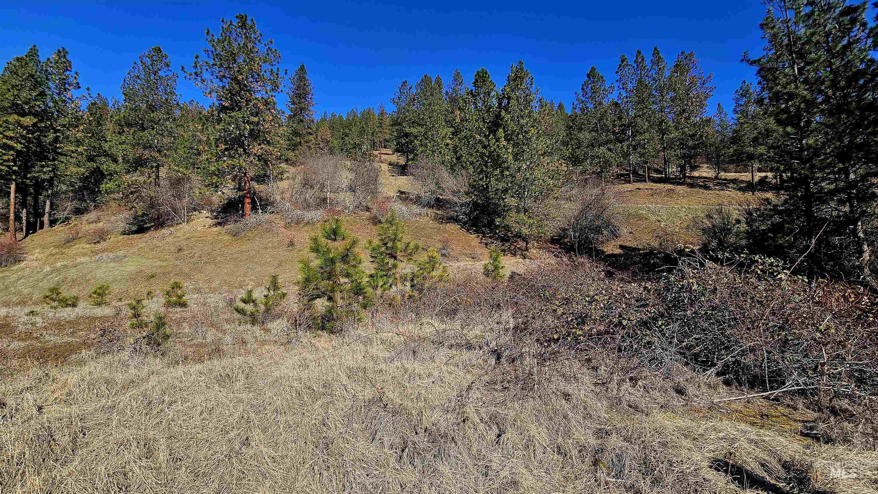 618 Quail Dr, Ahsahka, Idaho 83520, Land For Sale, Price $249,000,MLS 98976691