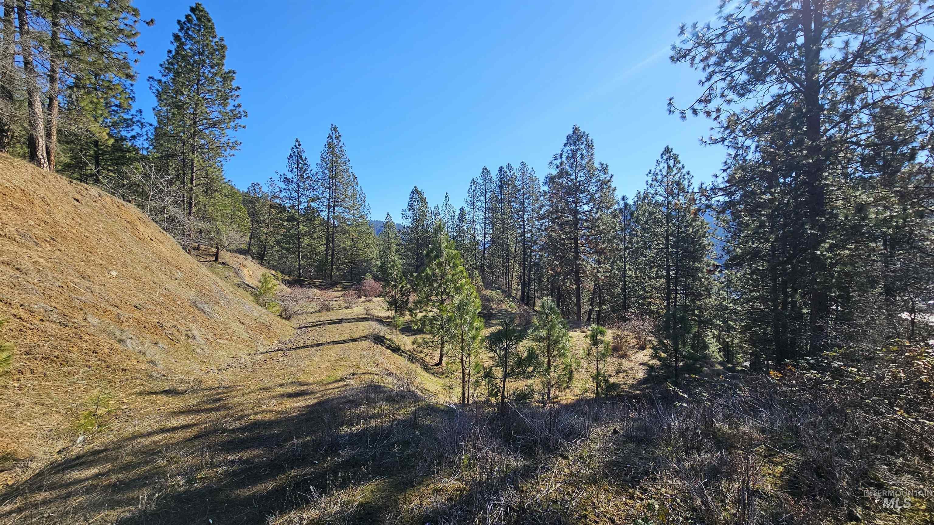 618 Quail Dr, Ahsahka, Idaho 83520, Land For Sale, Price $249,000,MLS 98976691
