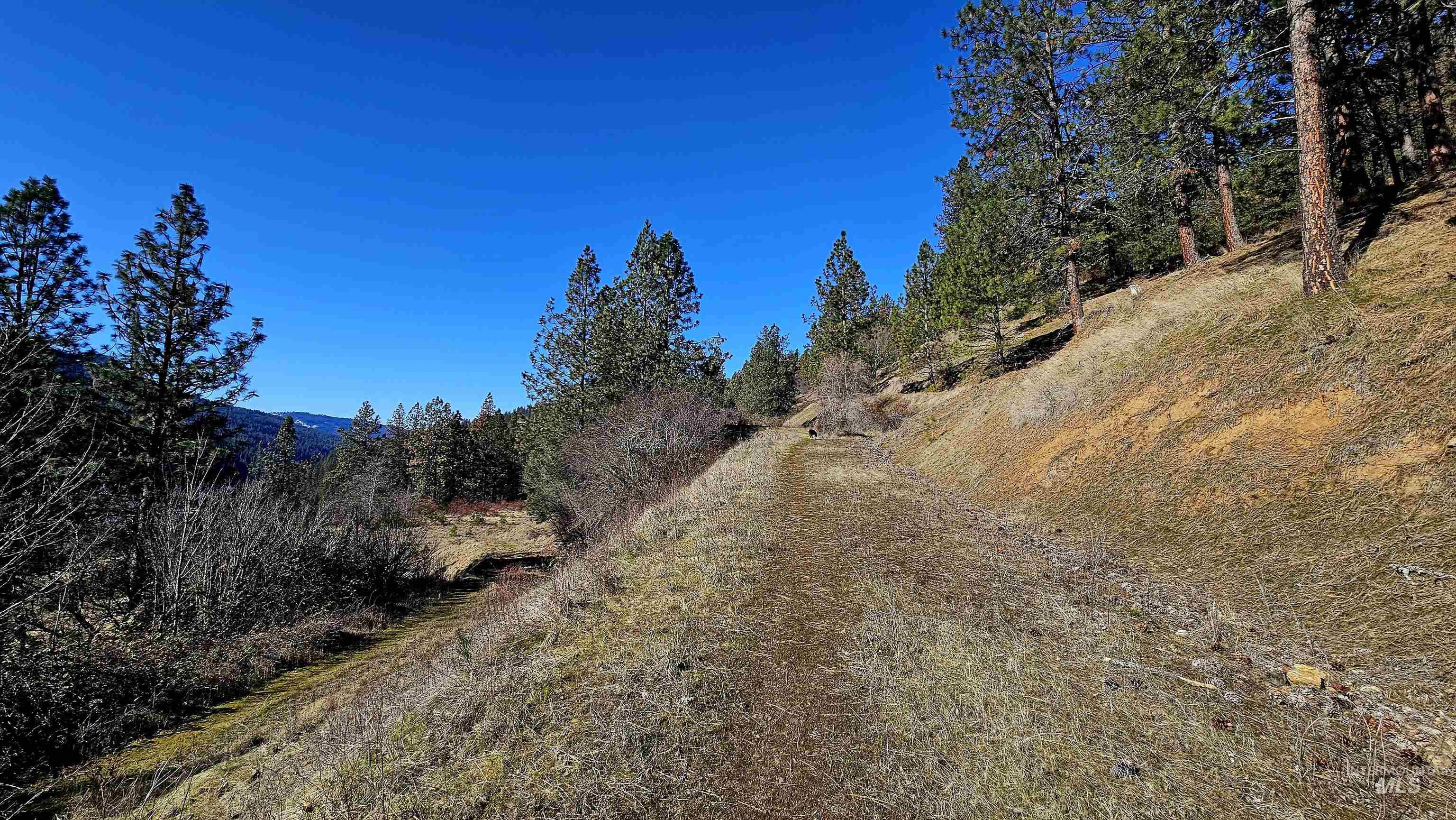618 Quail Dr, Ahsahka, Idaho 83520, Land For Sale, Price $249,000,MLS 98976691