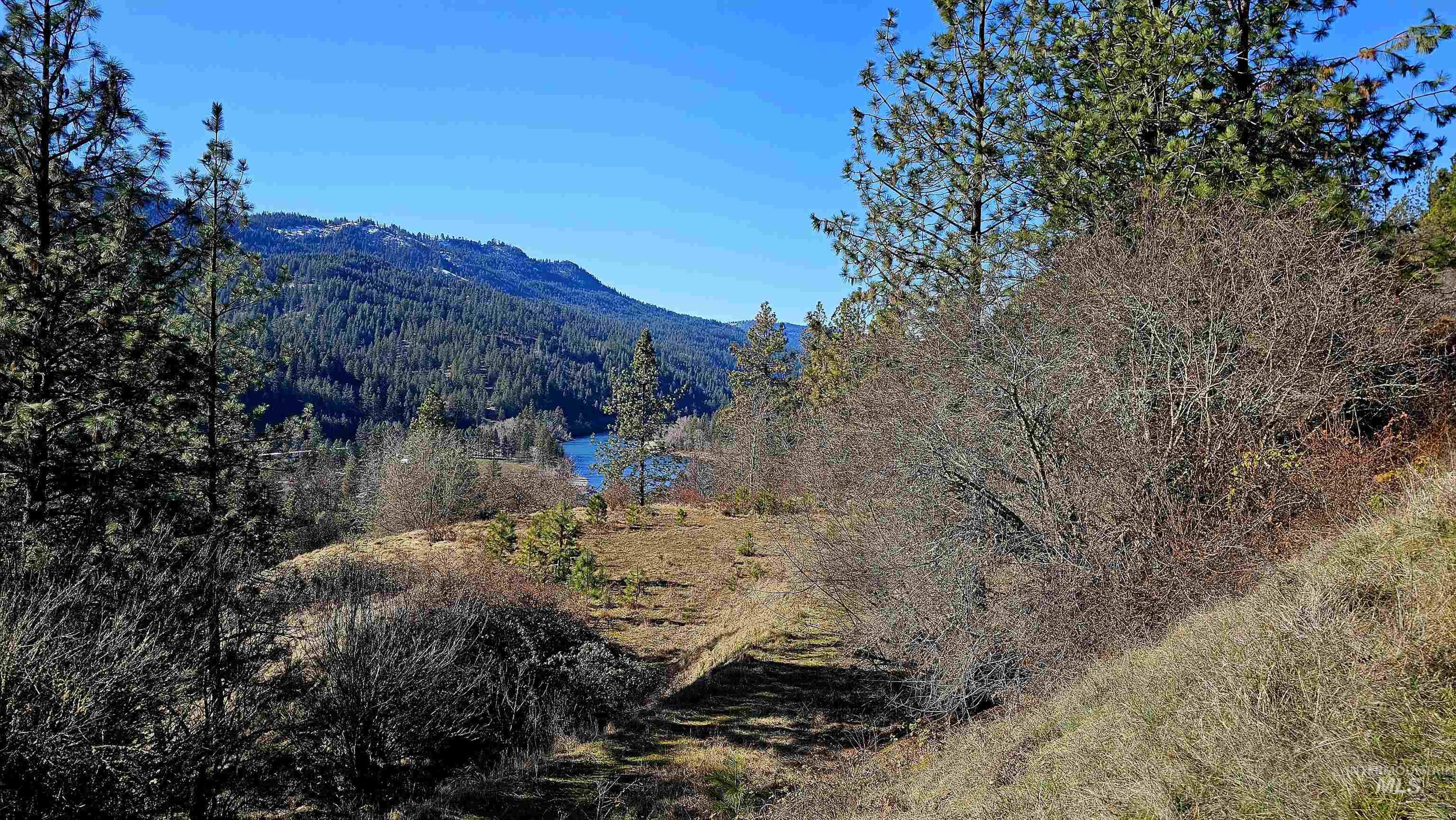 618 Quail Dr, Ahsahka, Idaho 83520, Land For Sale, Price $249,000,MLS 98976691