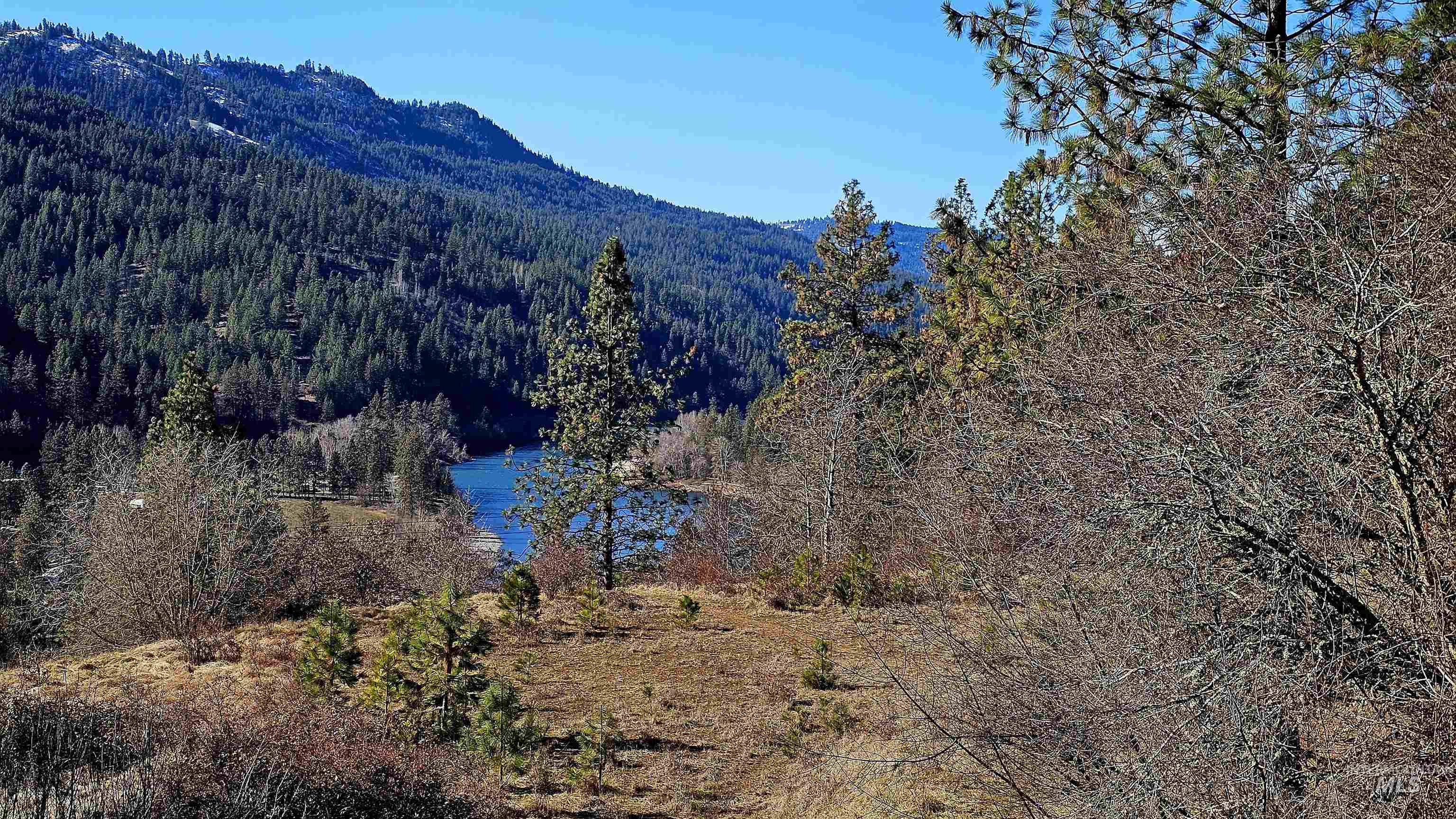 618 Quail Dr, Ahsahka, Idaho 83520, Land For Sale, Price $249,000,MLS 98976691