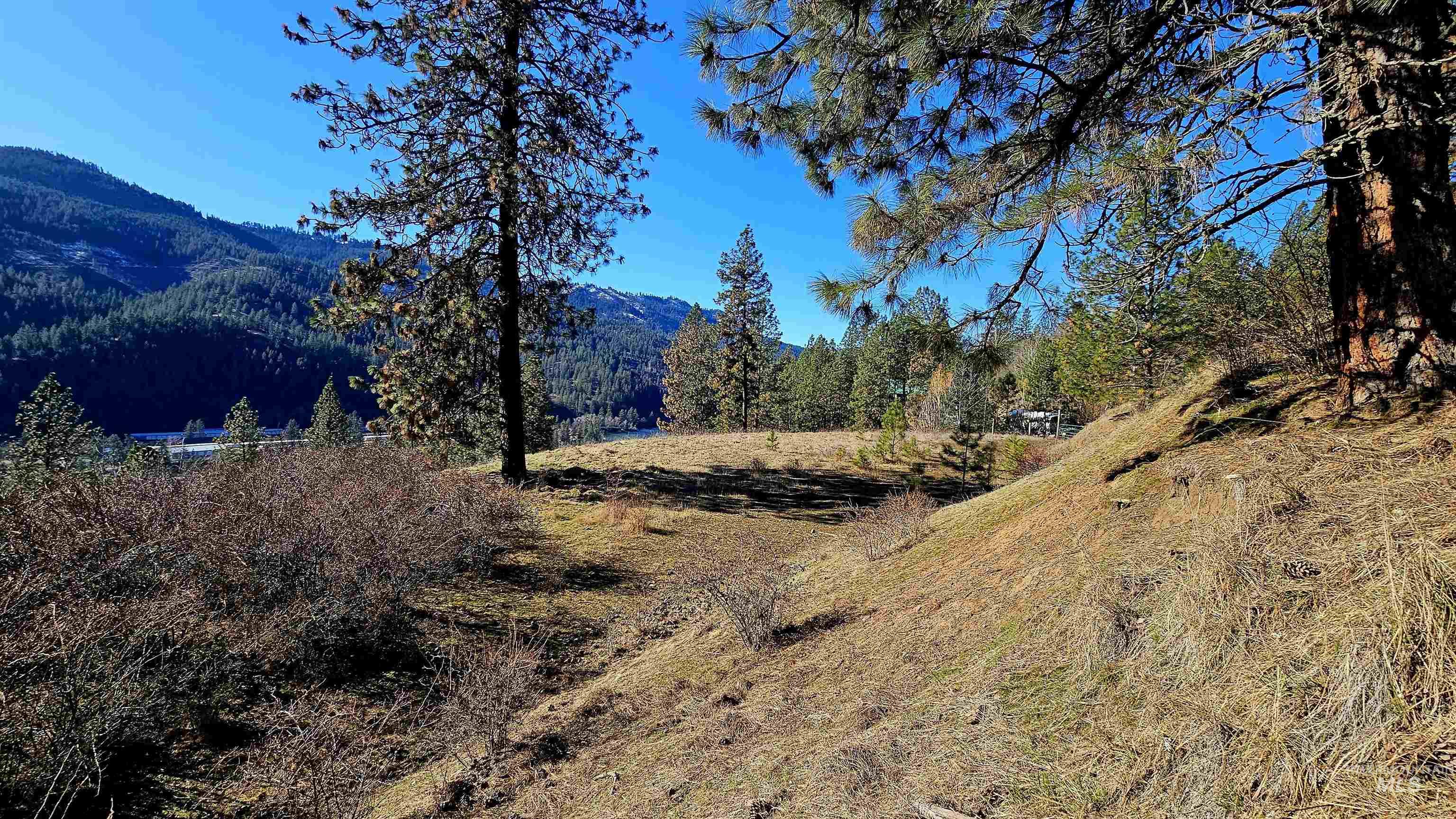 618 Quail Dr, Ahsahka, Idaho 83520, Land For Sale, Price $249,000,MLS 98976691