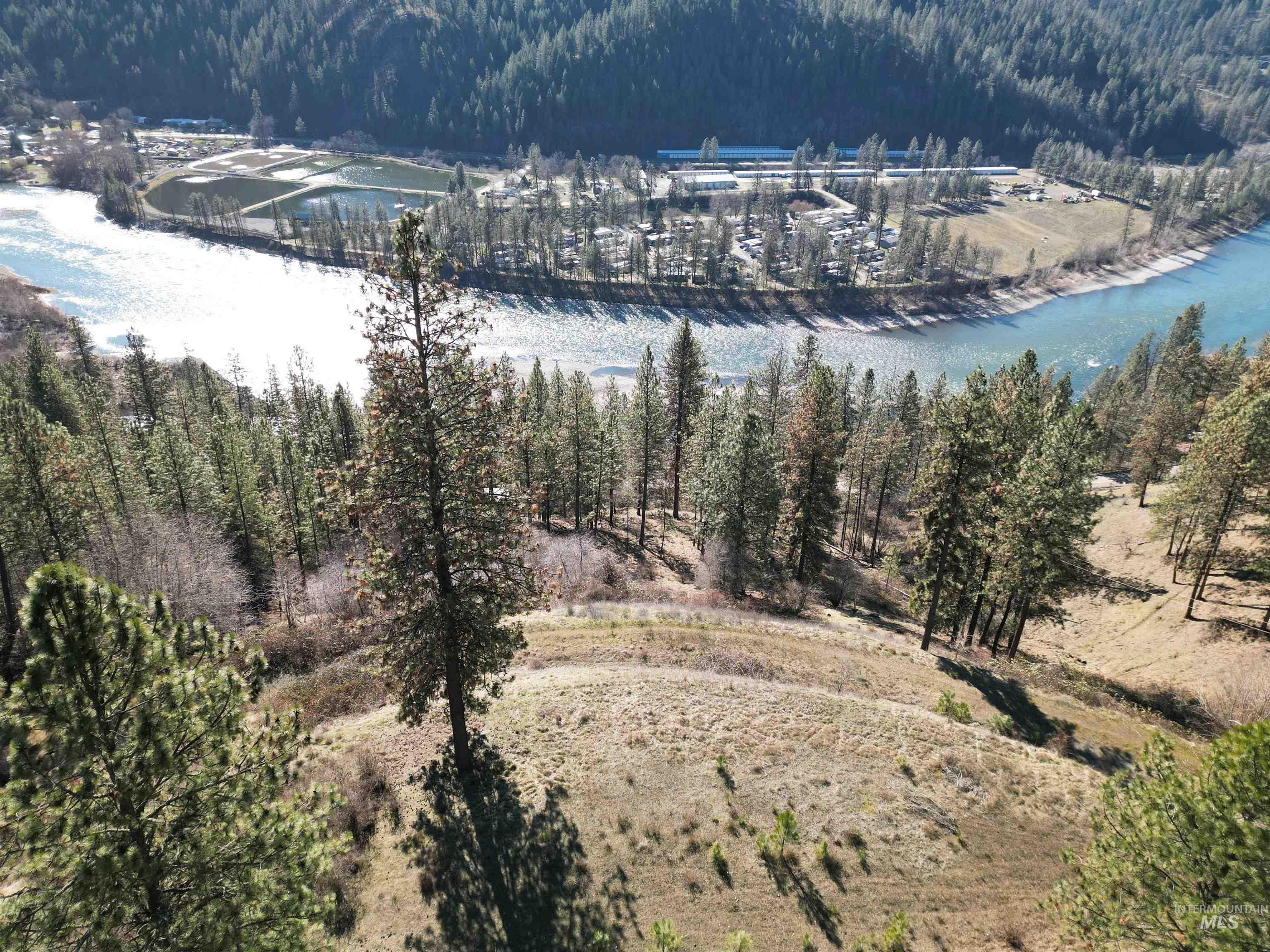 618 Quail Dr, Ahsahka, Idaho 83520, Land For Sale, Price $249,000,MLS 98976691