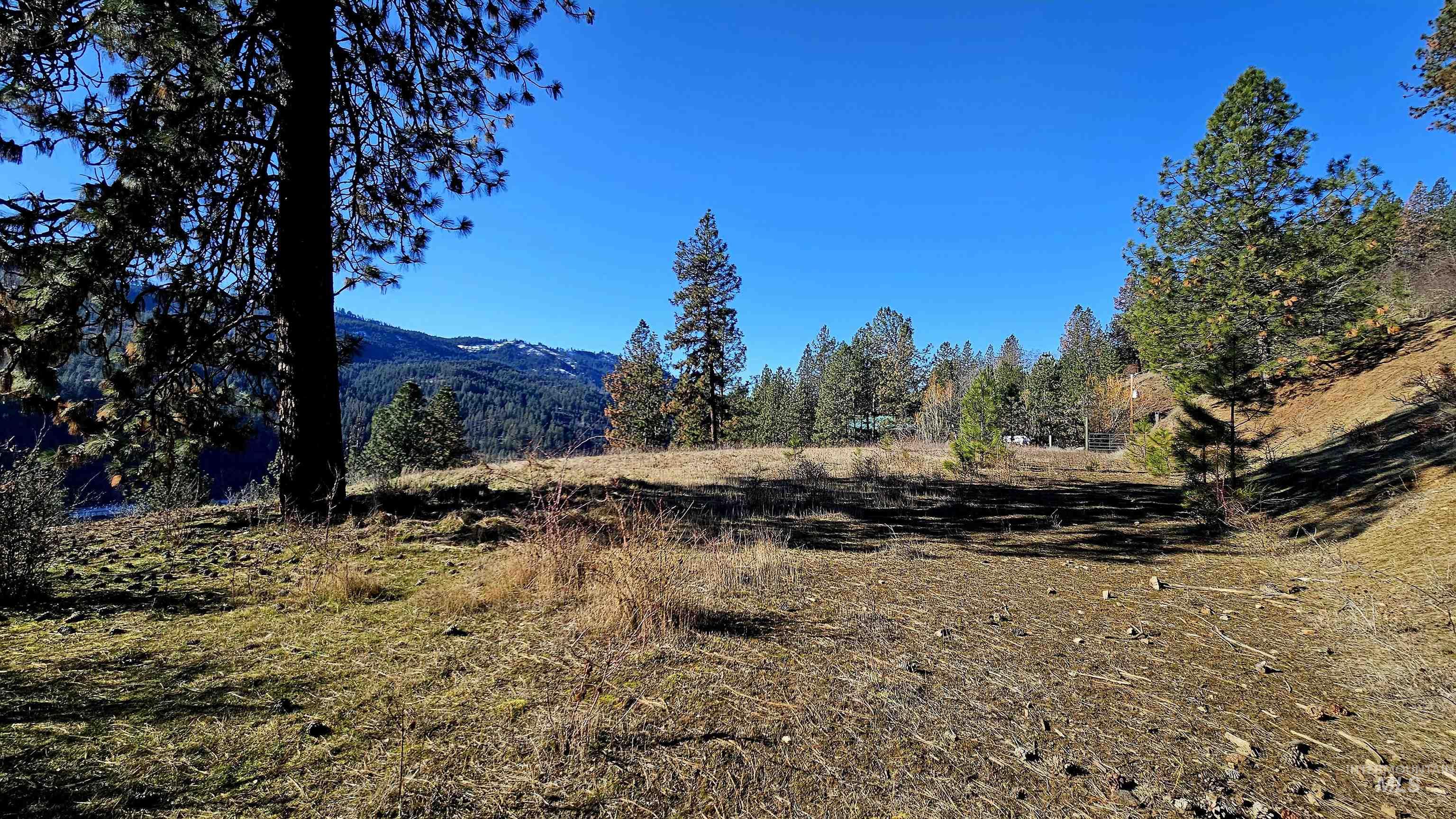618 Quail Dr, Ahsahka, Idaho 83520, Land For Sale, Price $249,000,MLS 98976691