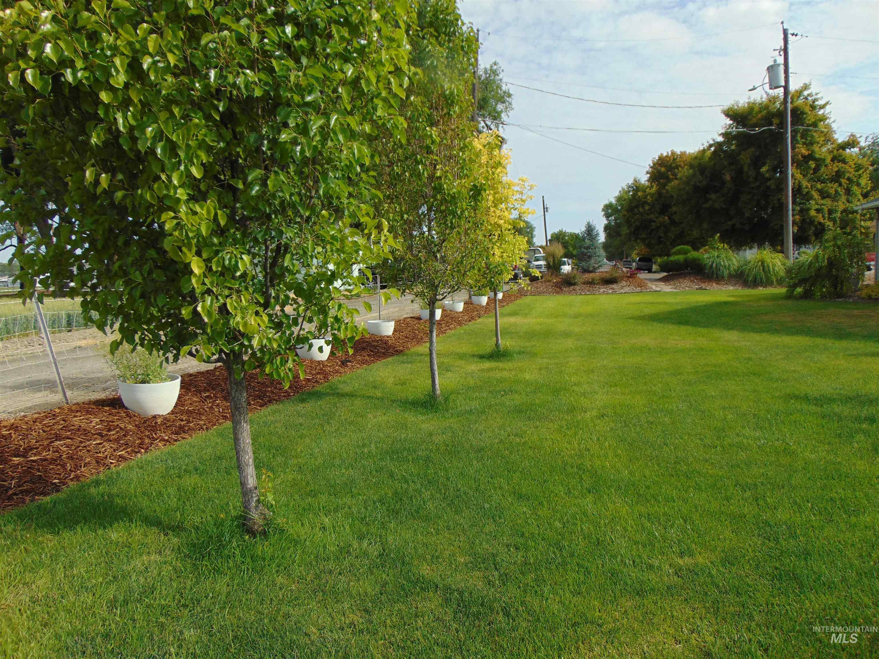 983 South Street, Vale, Oregon 97918, 4 Bedrooms, 2.5 Bathrooms, Residential For Sale, Price $524,900,MLS 98976701