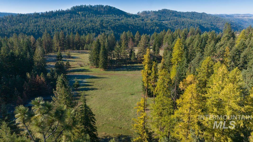 NKA 320acs Summer Rd, Orofino, Idaho 83544, Land For Sale, Price $1,950,000,MLS 98976725