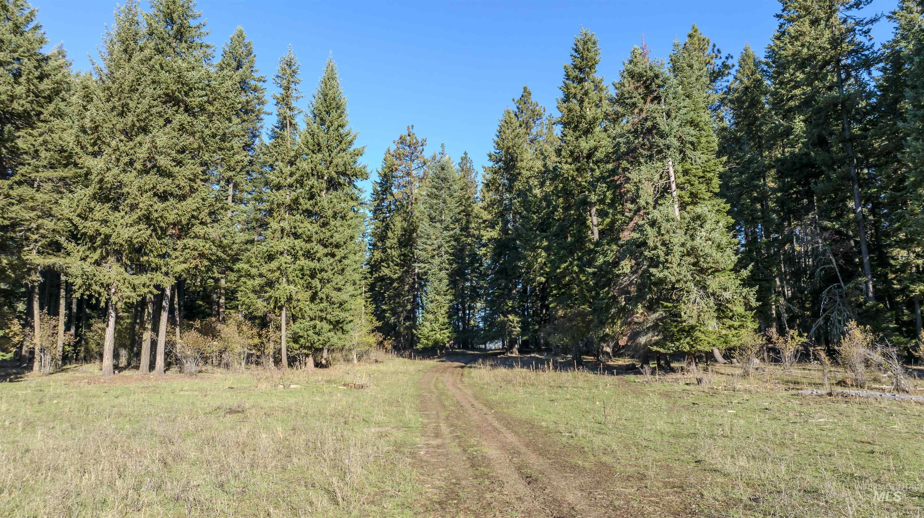 NKA 320acs Summer Rd, Orofino, Idaho 83544, Land For Sale, Price $1,950,000,MLS 98976725