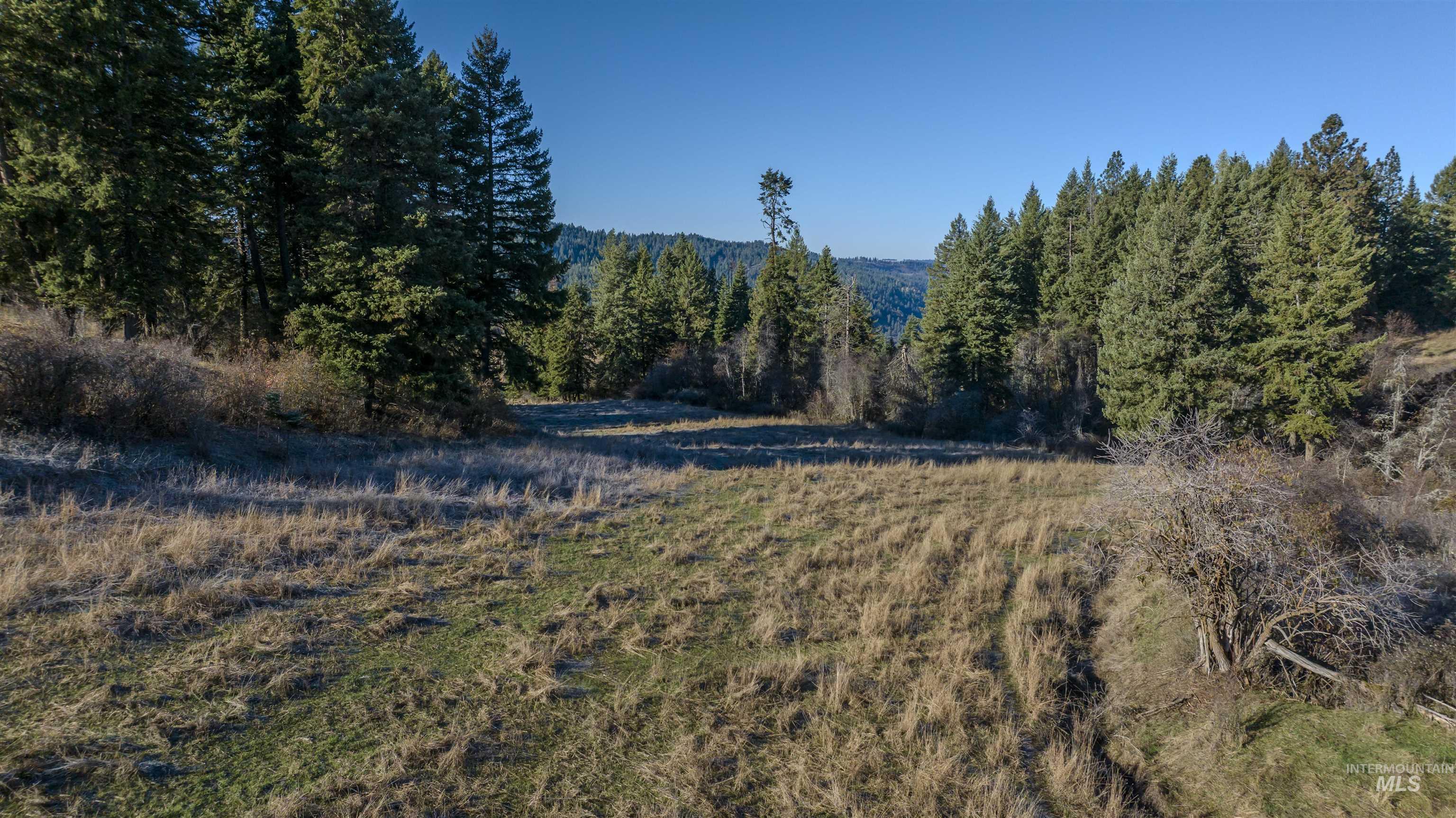 NKA 320acs Summer Rd, Orofino, Idaho 83544, Land For Sale, Price $1,950,000,MLS 98976725