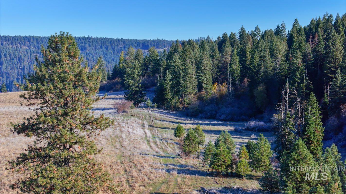 NKA 320acs Summer Rd, Orofino, Idaho 83544, Land For Sale, Price $1,950,000,MLS 98976725