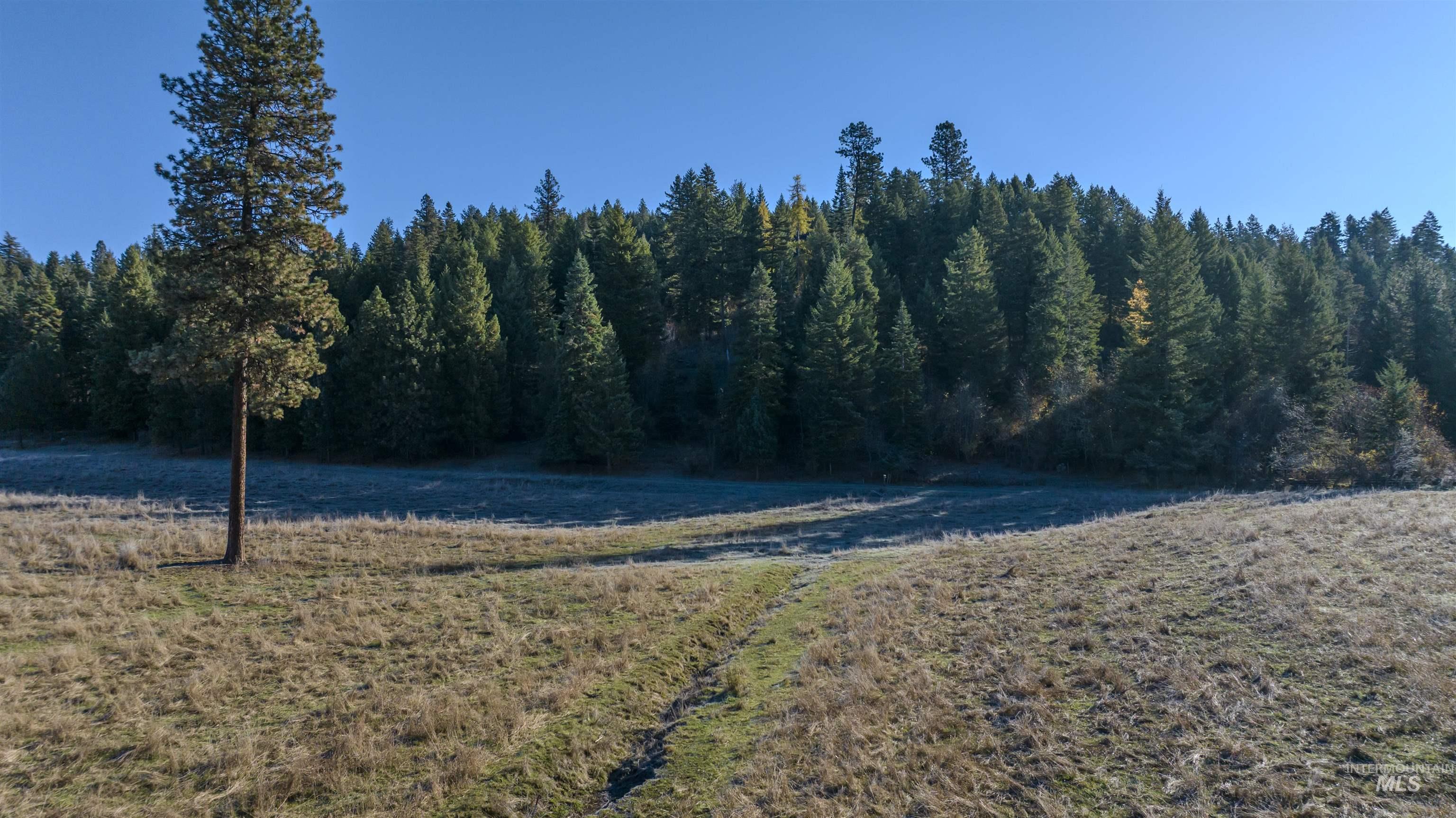 NKA 320acs Summer Rd, Orofino, Idaho 83544, Land For Sale, Price $1,950,000,MLS 98976725