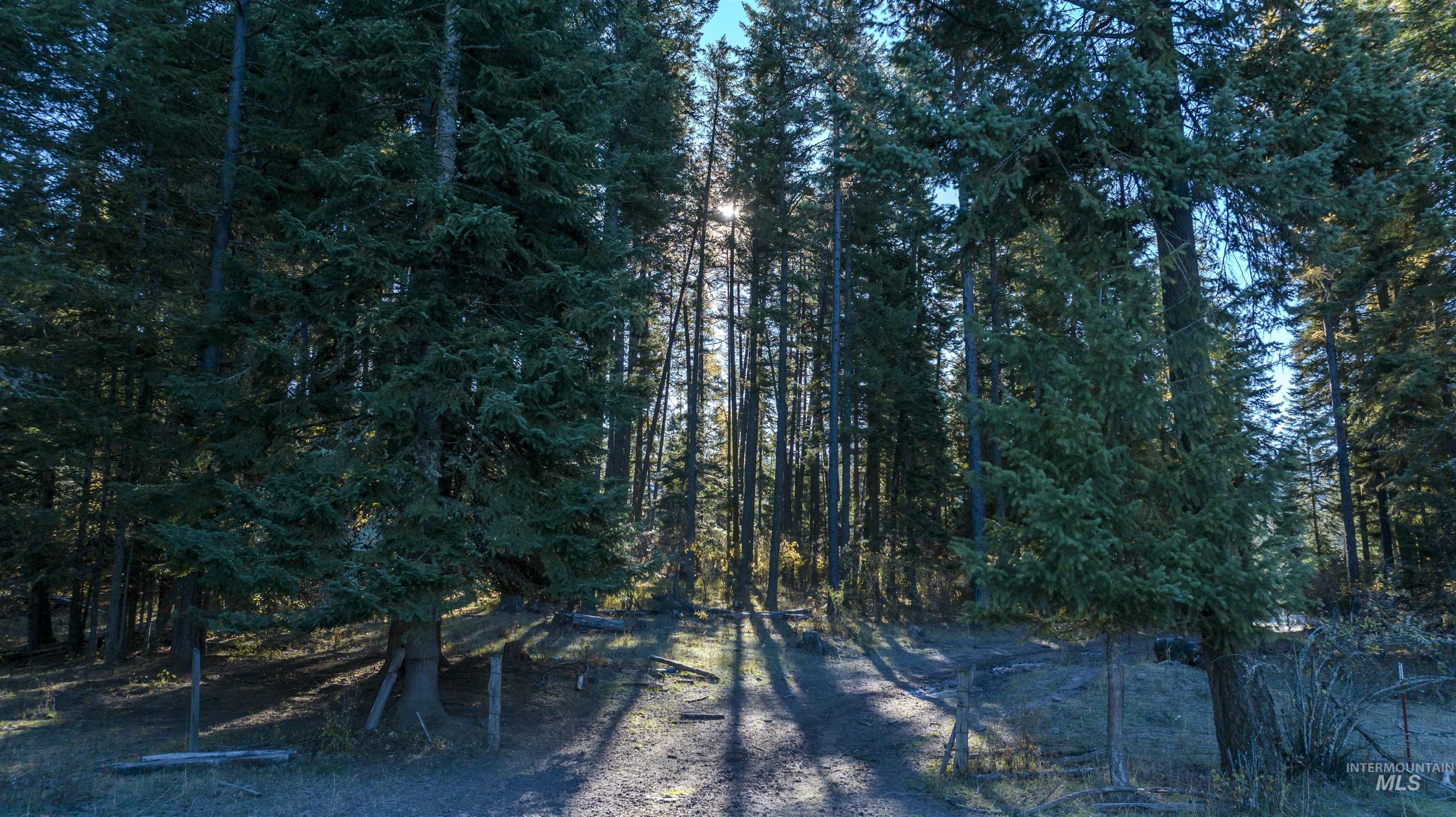 NKA 320acs Summer Rd, Orofino, Idaho 83544, Land For Sale, Price $1,950,000,MLS 98976725