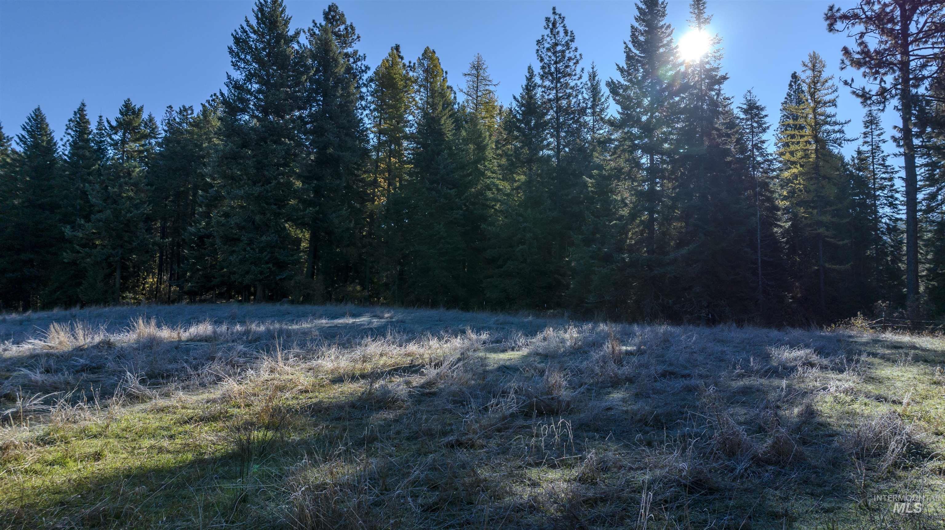 NKA 320acs Summer Rd, Orofino, Idaho 83544, Land For Sale, Price $1,950,000,MLS 98976725