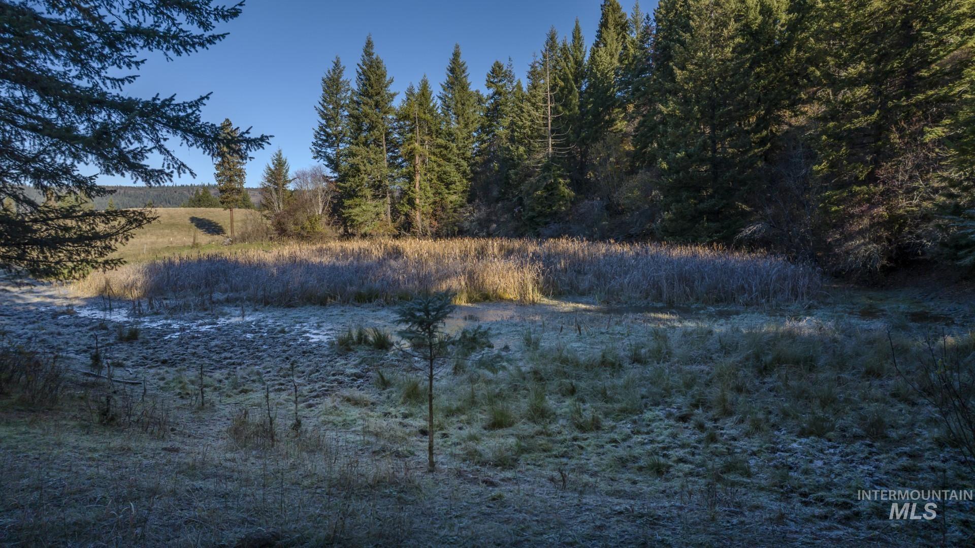 NKA 320acs Summer Rd, Orofino, Idaho 83544, Land For Sale, Price $1,950,000,MLS 98976725