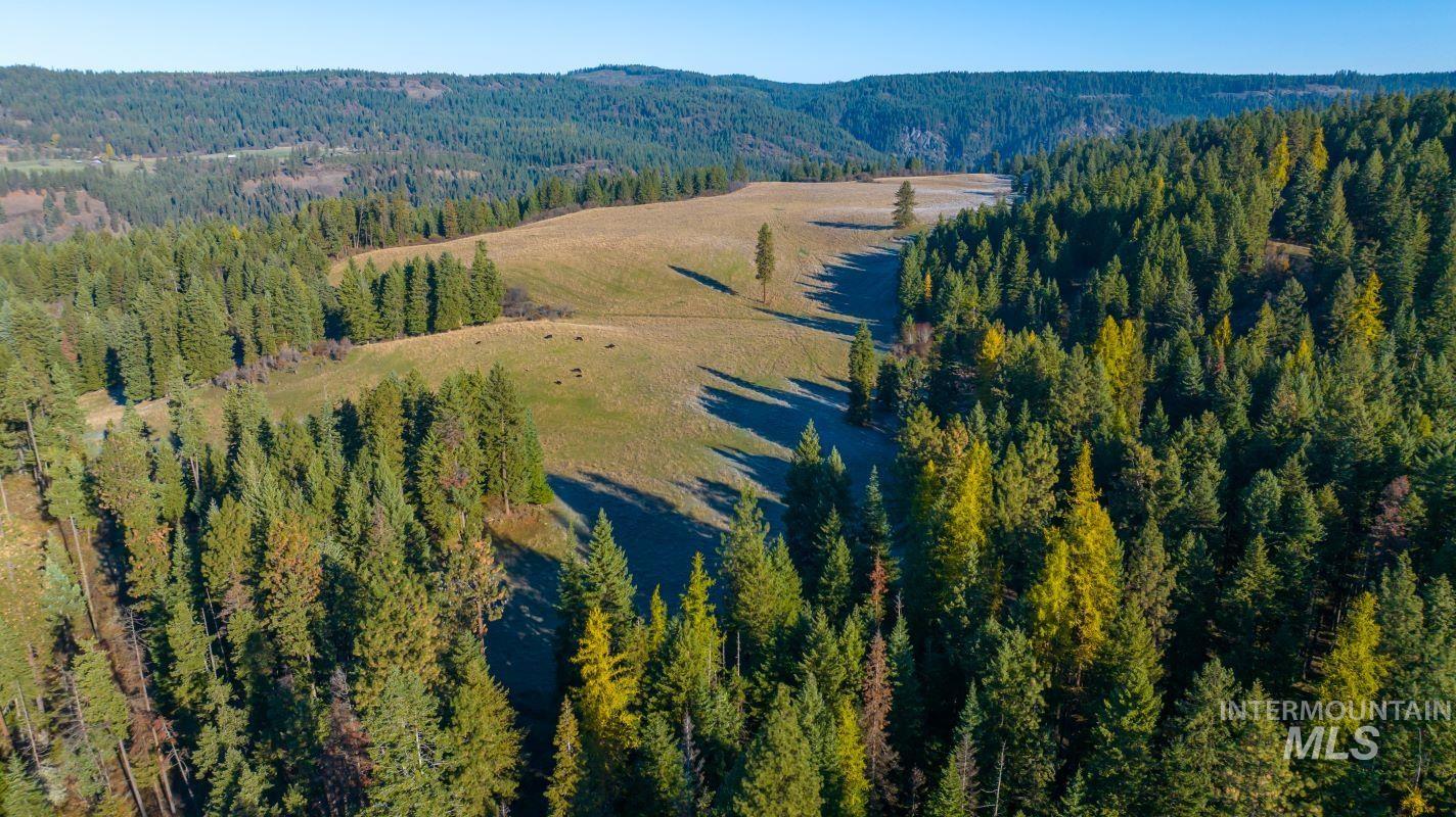 NKA 320acs Summer Rd, Orofino, Idaho 83544, Land For Sale, Price $1,950,000,MLS 98976725