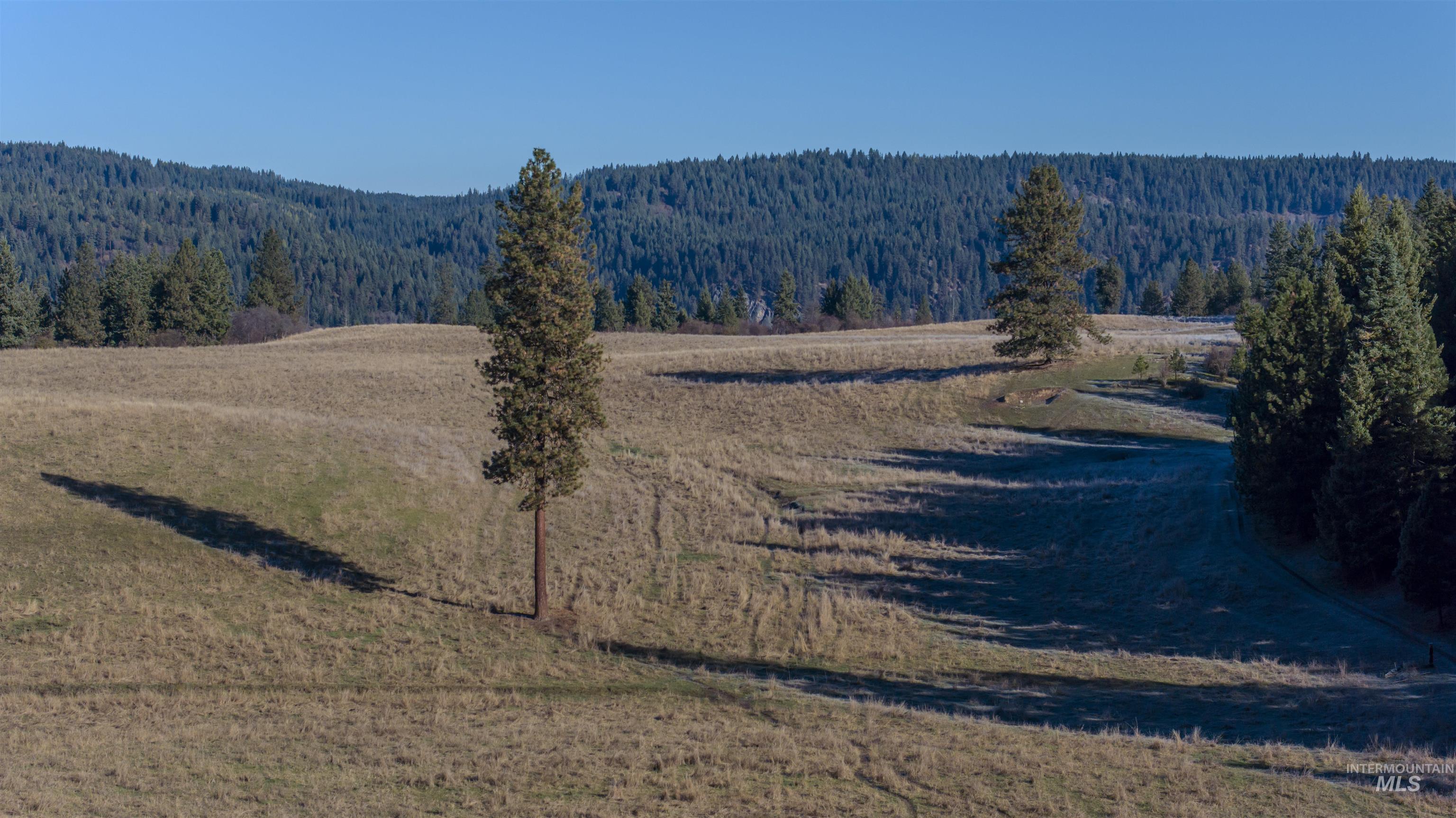NKA 320acs Summer Rd, Orofino, Idaho 83544, Land For Sale, Price $1,950,000,MLS 98976725