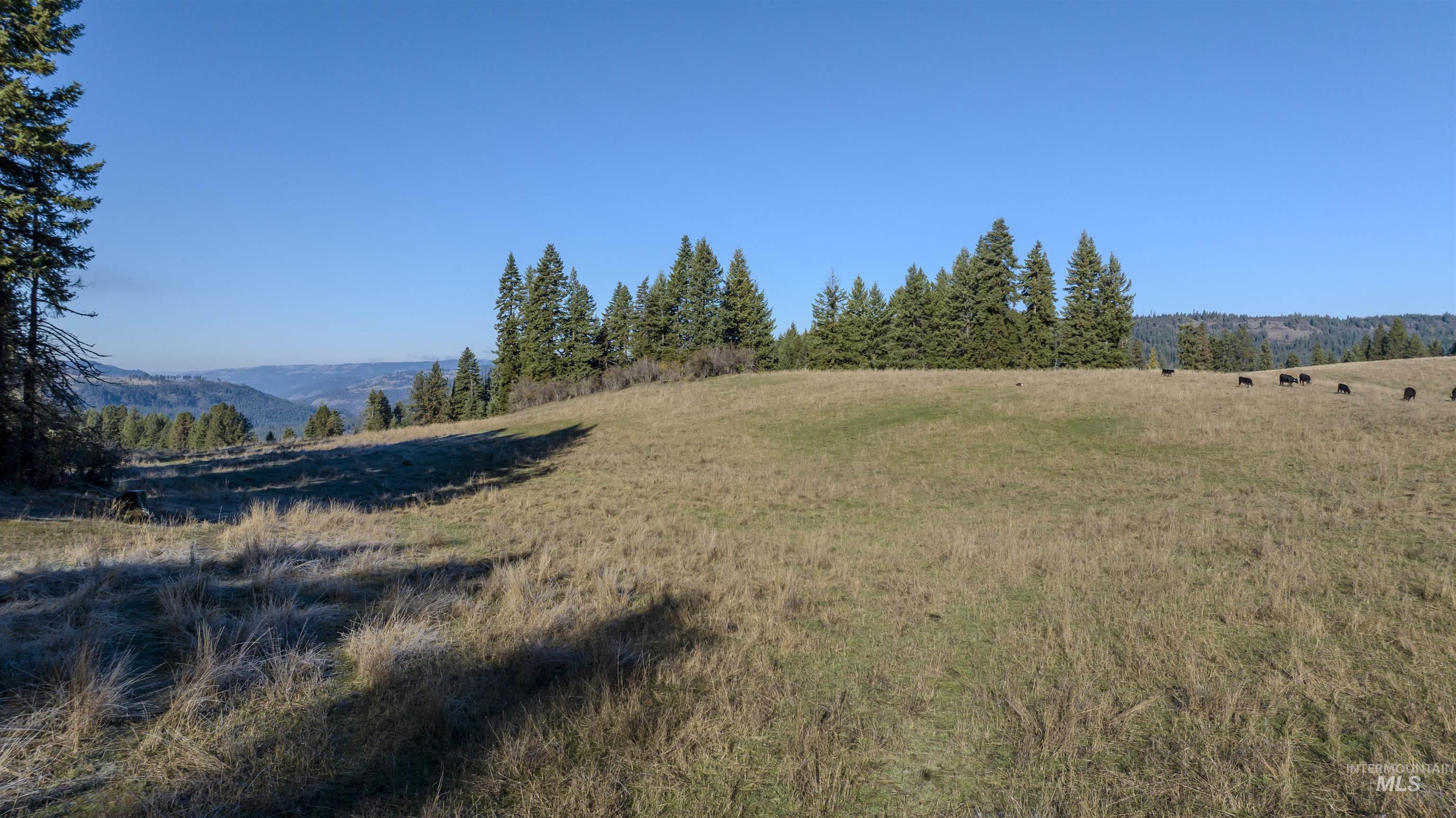 NKA 320acs Summer Rd, Orofino, Idaho 83544, Land For Sale, Price $1,950,000,MLS 98976725