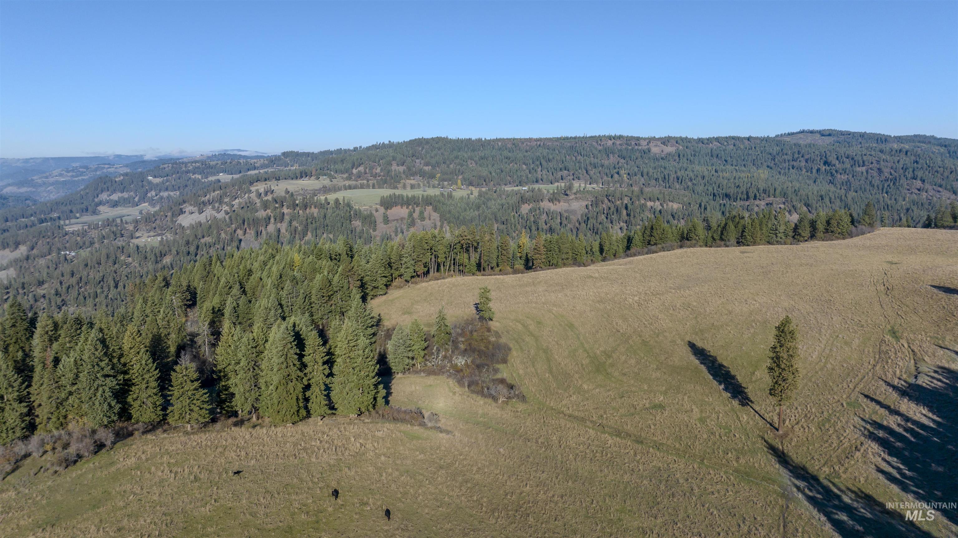 NKA 320acs Summer Rd, Orofino, Idaho 83544, Land For Sale, Price $1,950,000,MLS 98976725