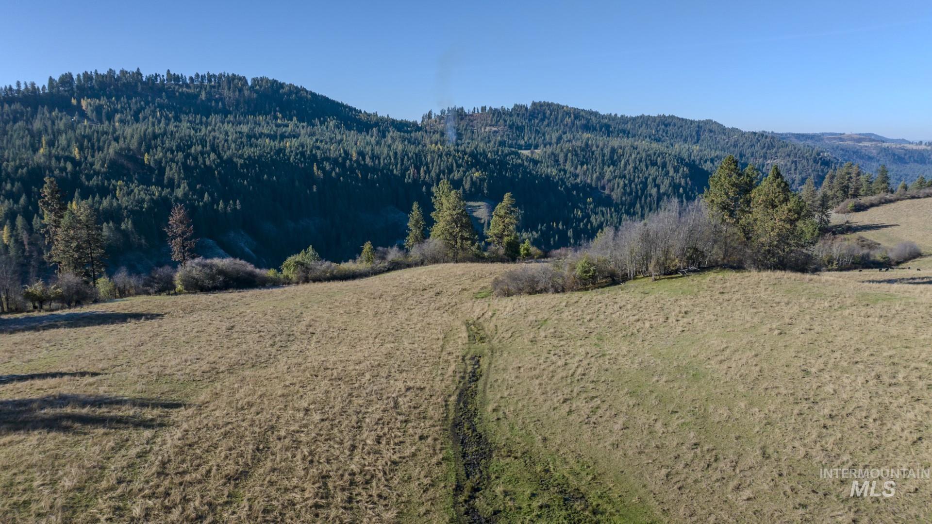 NKA 320acs Summer Rd, Orofino, Idaho 83544, Land For Sale, Price $1,950,000,MLS 98976725
