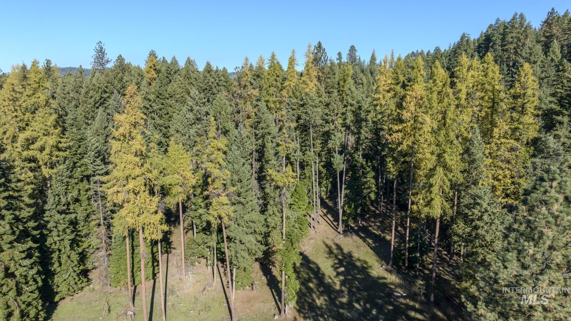 NKA 320acs Summer Rd, Orofino, Idaho 83544, Land For Sale, Price $1,950,000,MLS 98976725