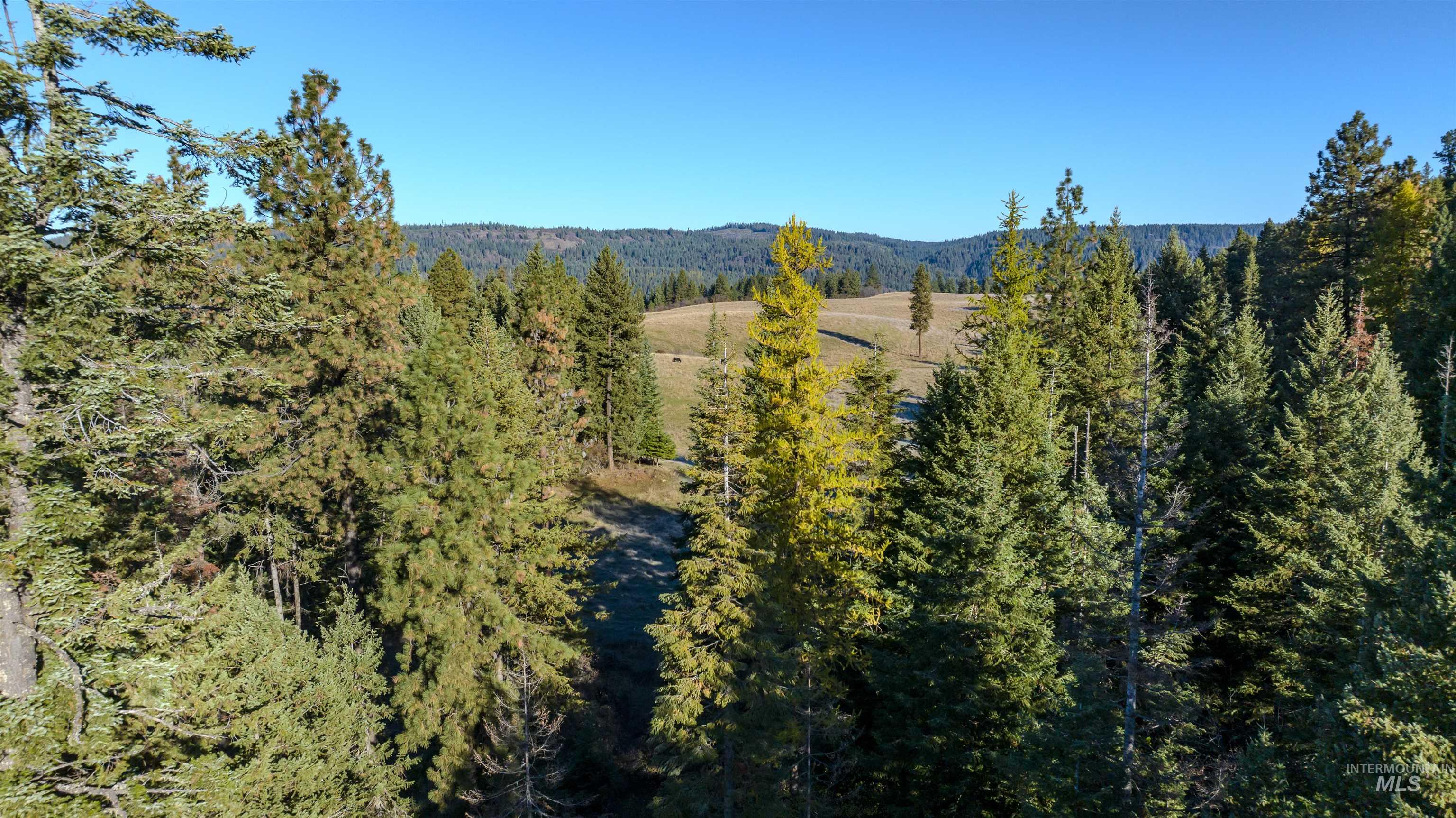 NKA 320acs Summer Rd, Orofino, Idaho 83544, Land For Sale, Price $1,950,000,MLS 98976725