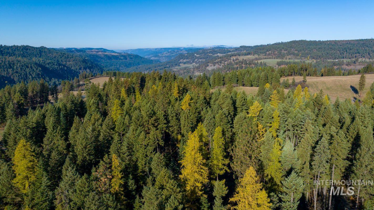 NKA 320acs Summer Rd, Orofino, Idaho 83544, Land For Sale, Price $1,950,000,MLS 98976725