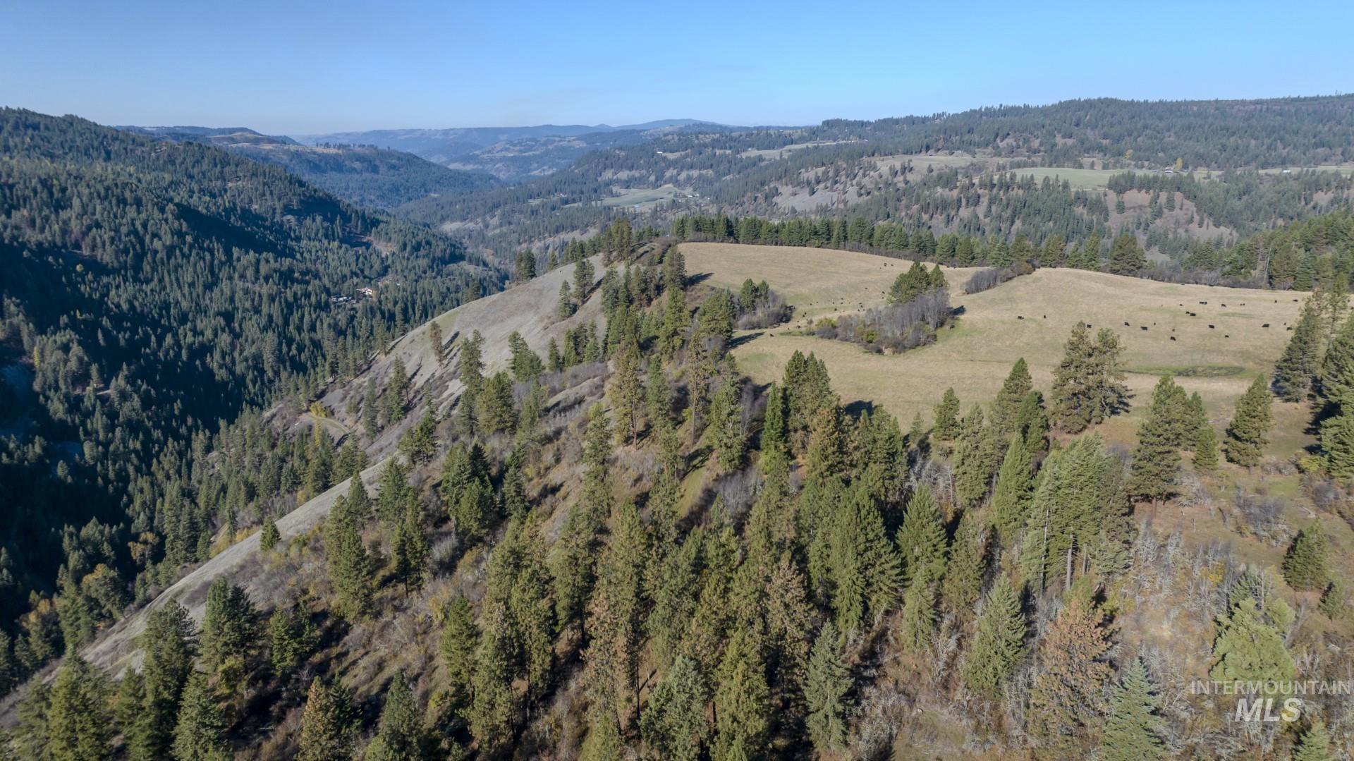 NKA 320acs Summer Rd, Orofino, Idaho 83544, Land For Sale, Price $1,950,000,MLS 98976725
