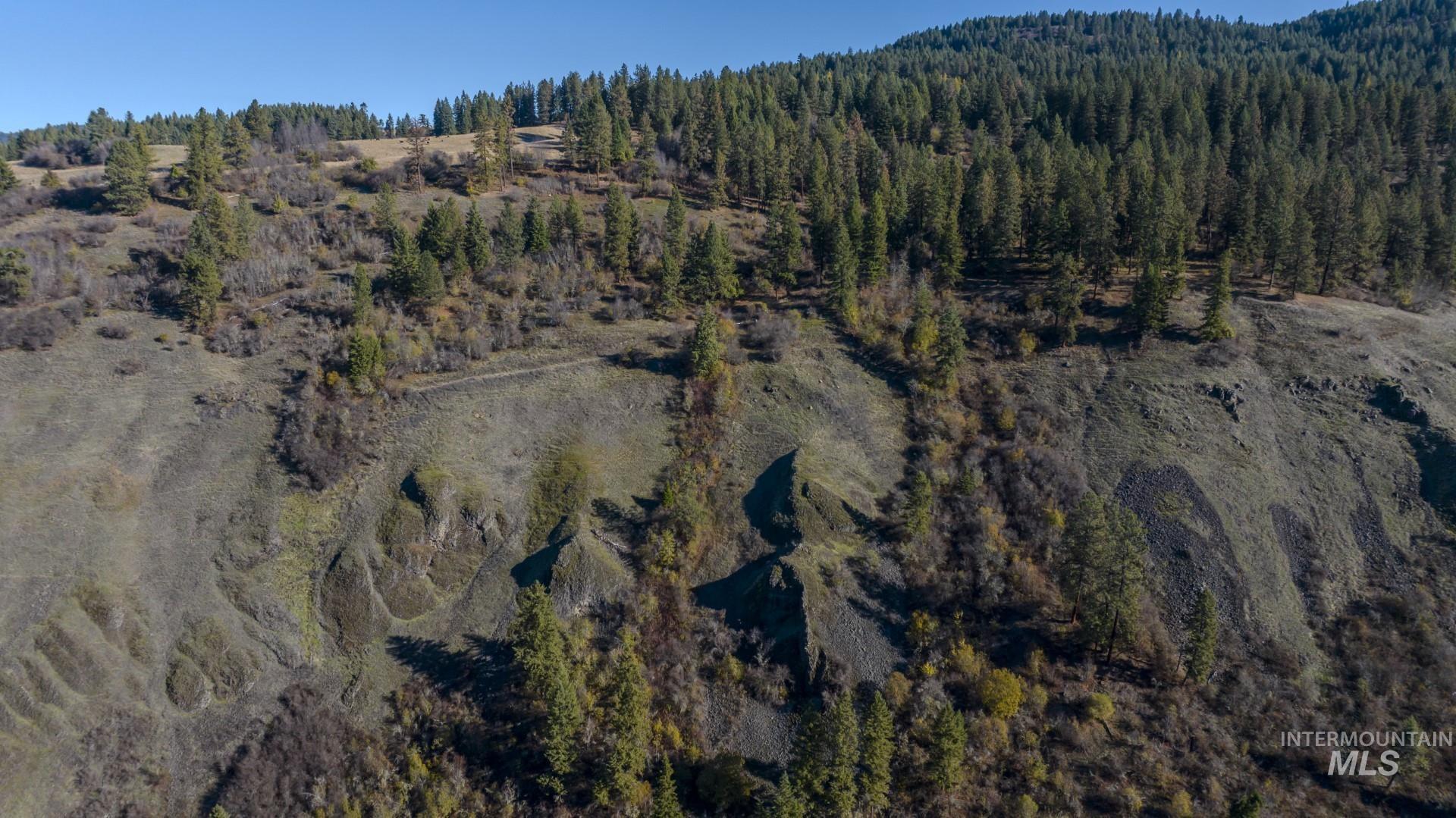 NKA 320acs Summer Rd, Orofino, Idaho 83544, Land For Sale, Price $1,950,000,MLS 98976725