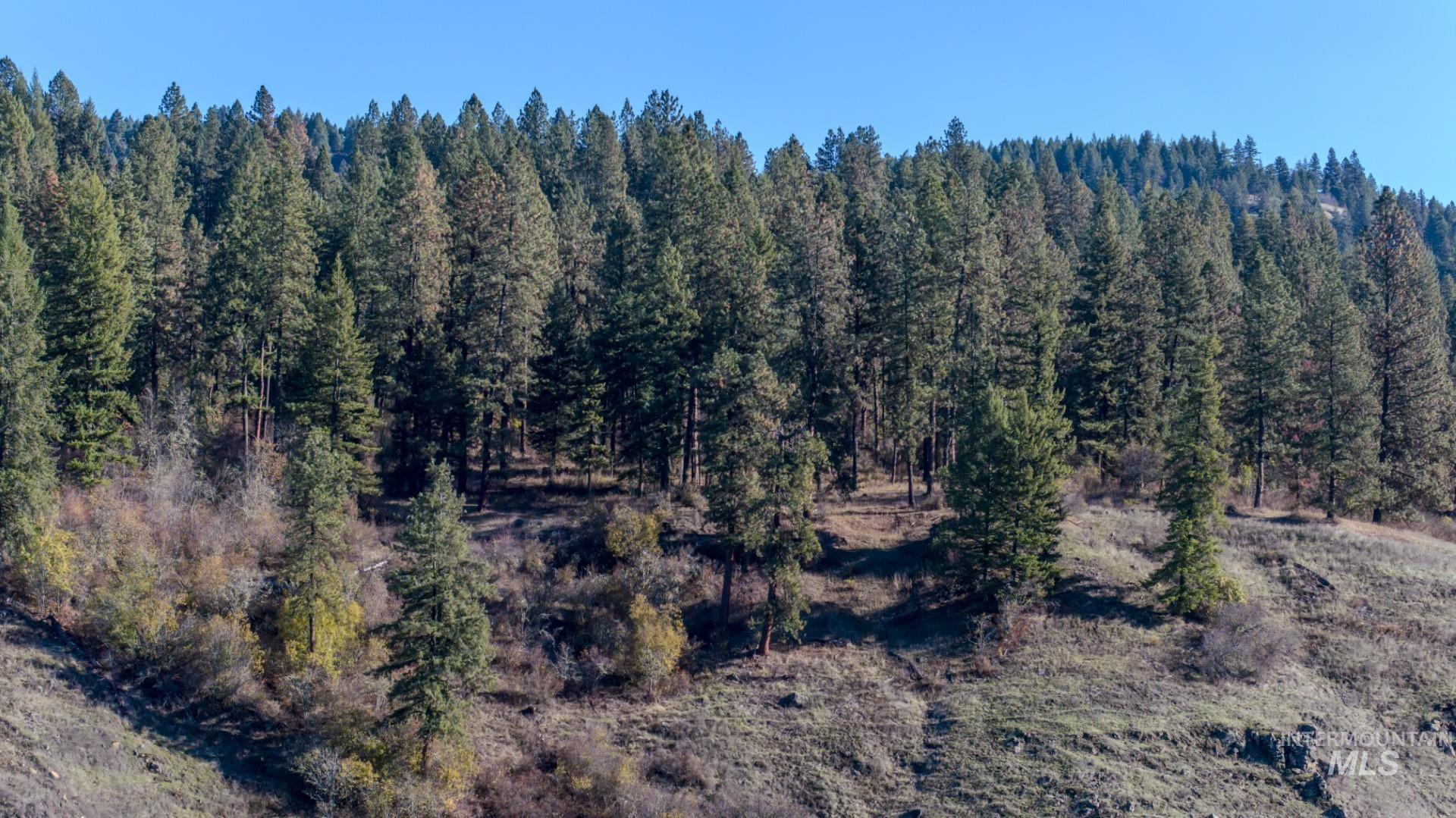 NKA 320acs Summer Rd, Orofino, Idaho 83544, Land For Sale, Price $1,950,000,MLS 98976725