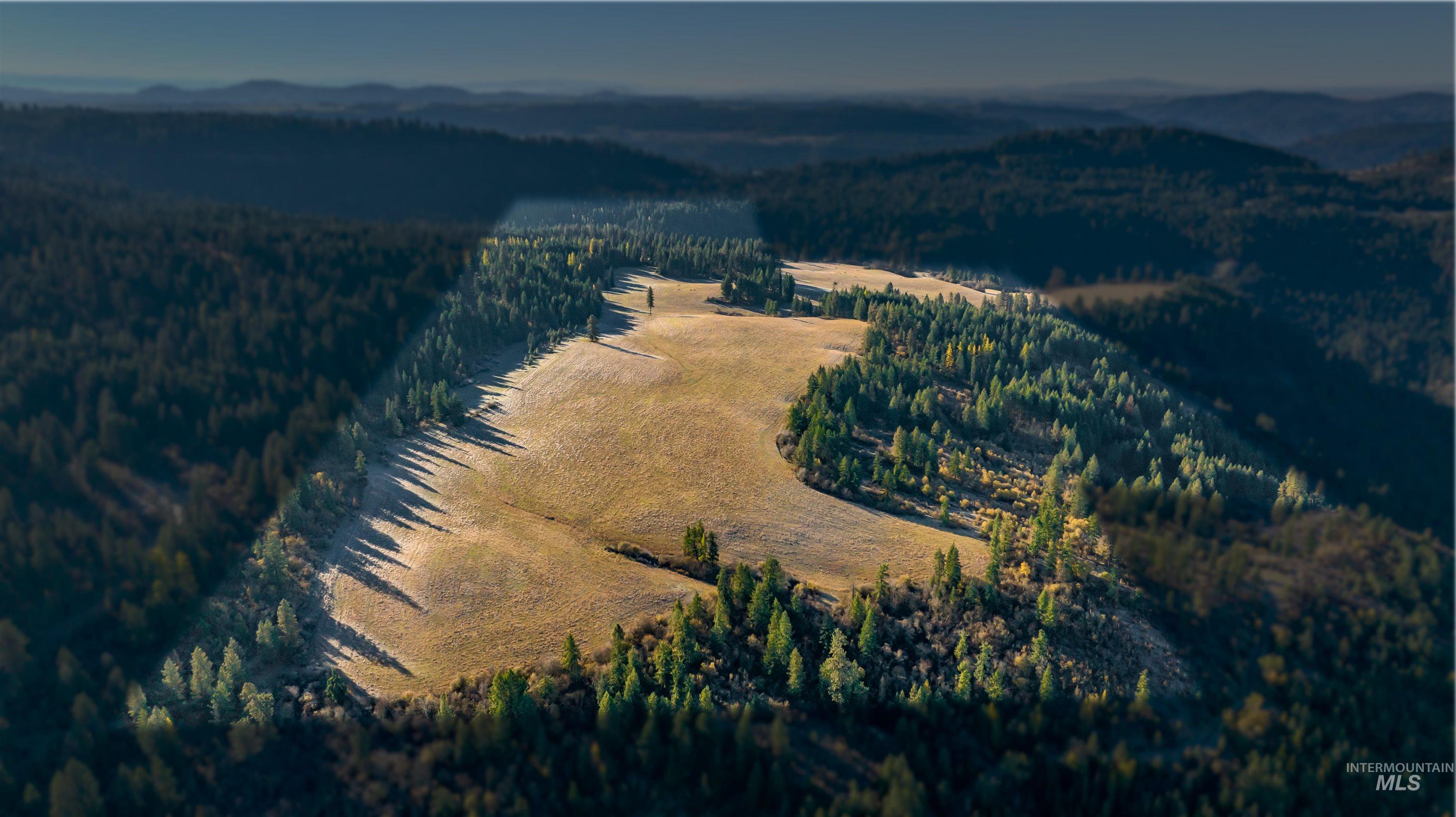 NKA 320acs Summer Rd, Orofino, Idaho 83544, Land For Sale, Price $1,950,000,MLS 98976725