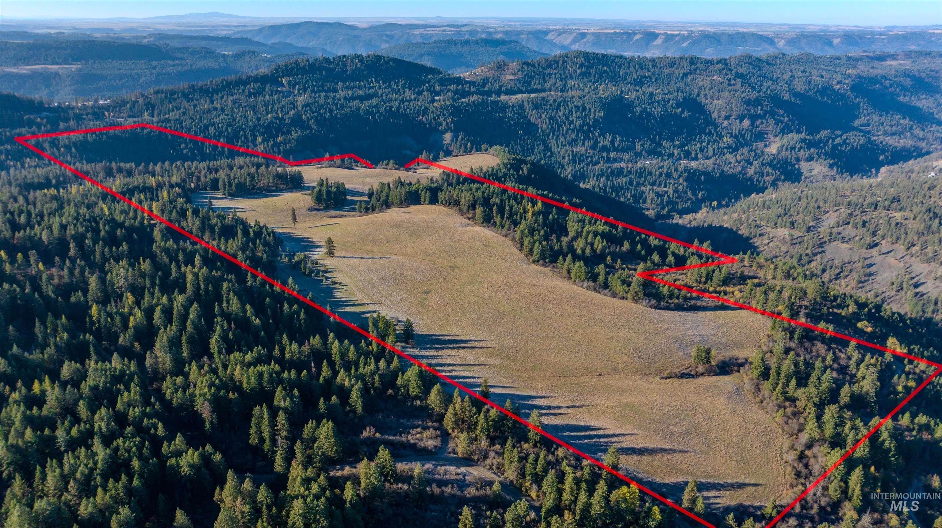 NKA 320acs Summer Rd, Orofino, Idaho 83544, Land For Sale, Price $1,950,000,MLS 98976725