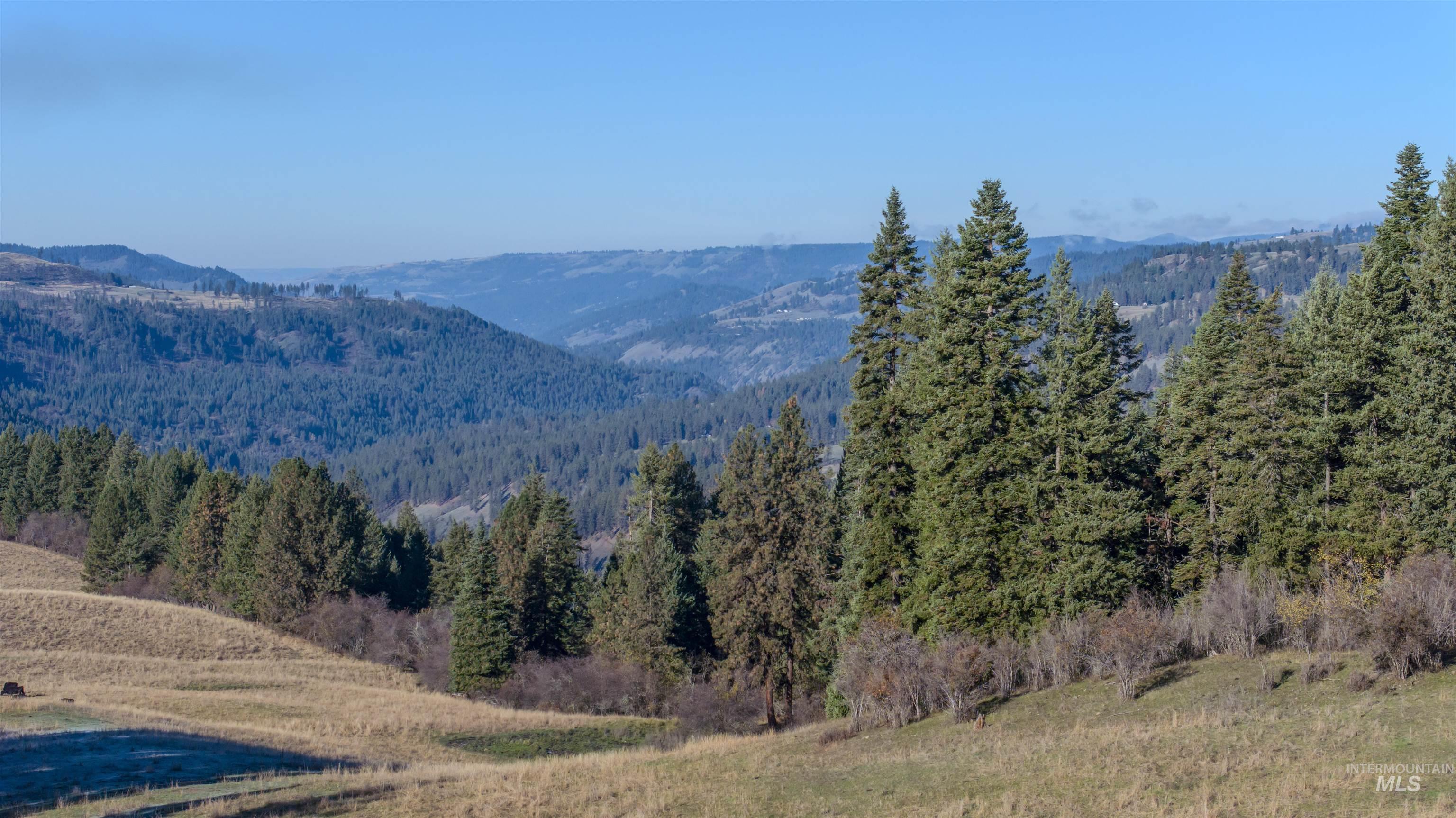 NKA 320acs Summer Rd, Orofino, Idaho 83544, Land For Sale, Price $1,950,000,MLS 98976725