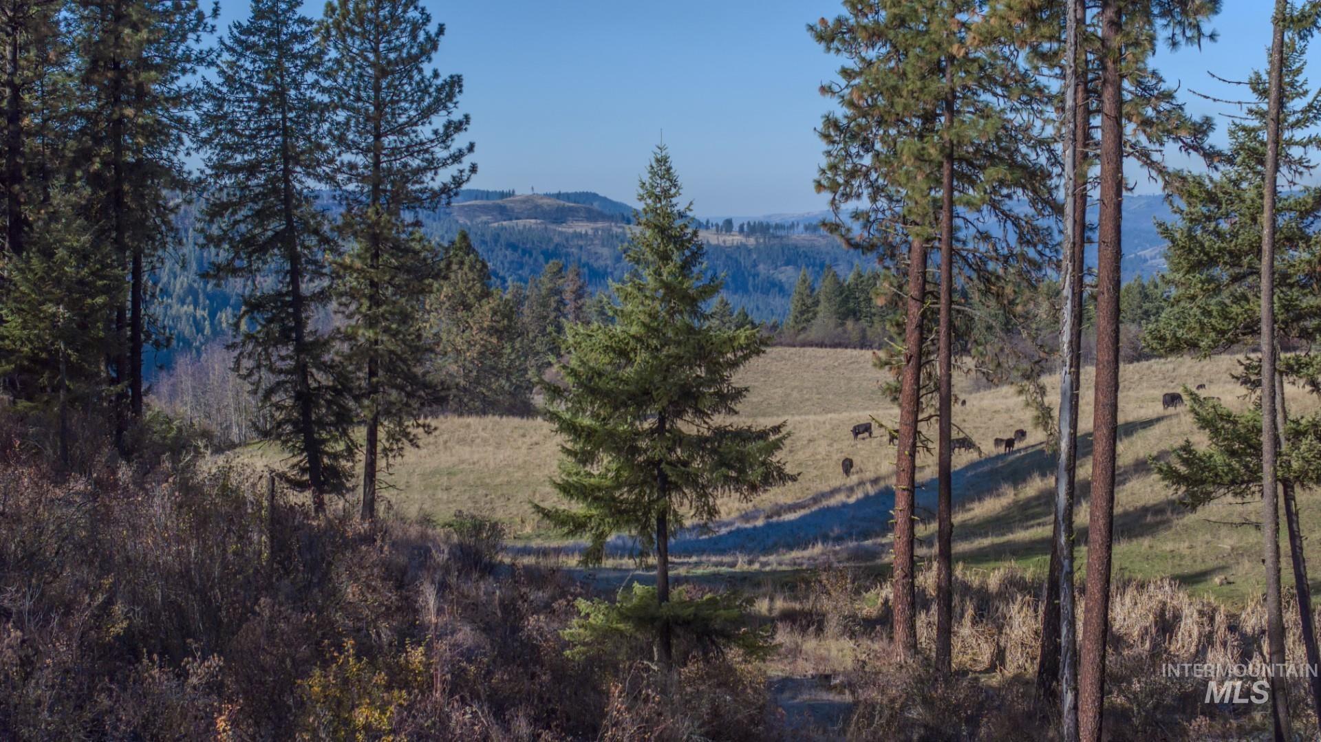 NKA 320acs Summer Rd, Orofino, Idaho 83544, Land For Sale, Price $1,950,000,MLS 98976725
