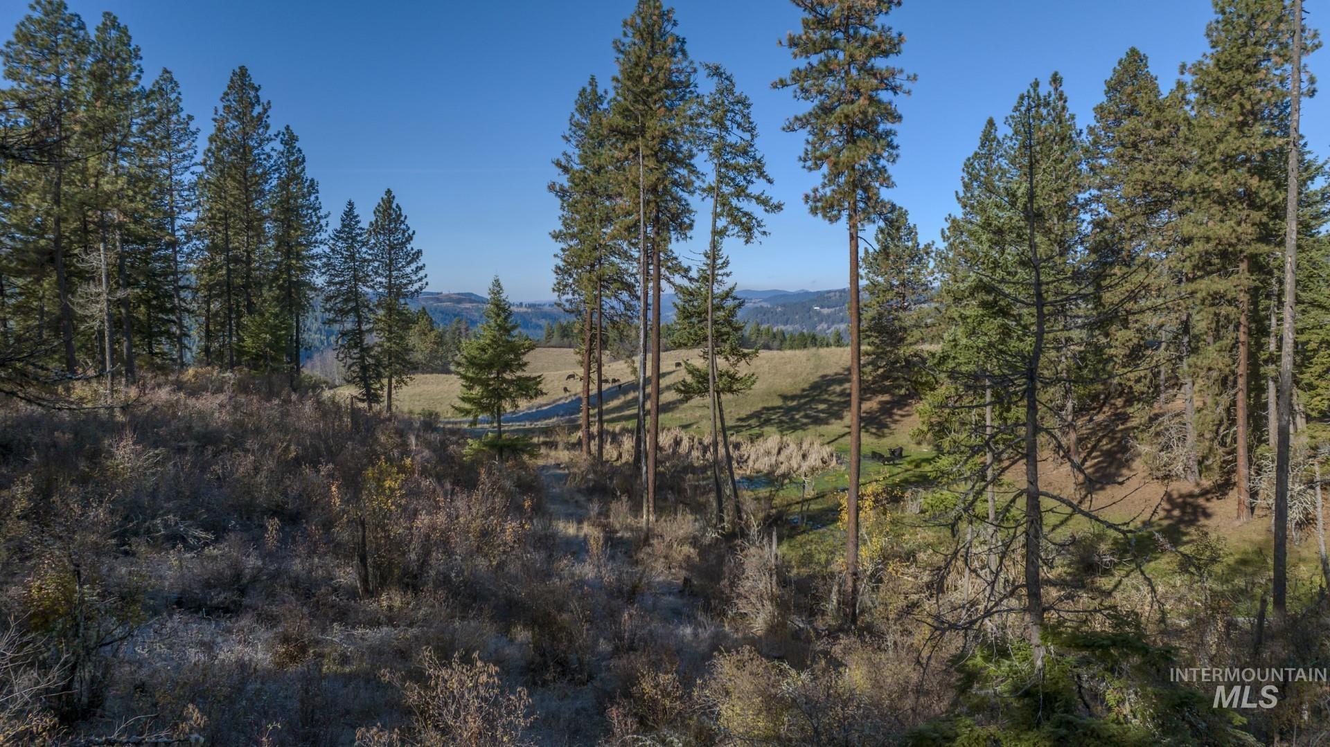 NKA 320acs Summer Rd, Orofino, Idaho 83544, Land For Sale, Price $1,950,000,MLS 98976725