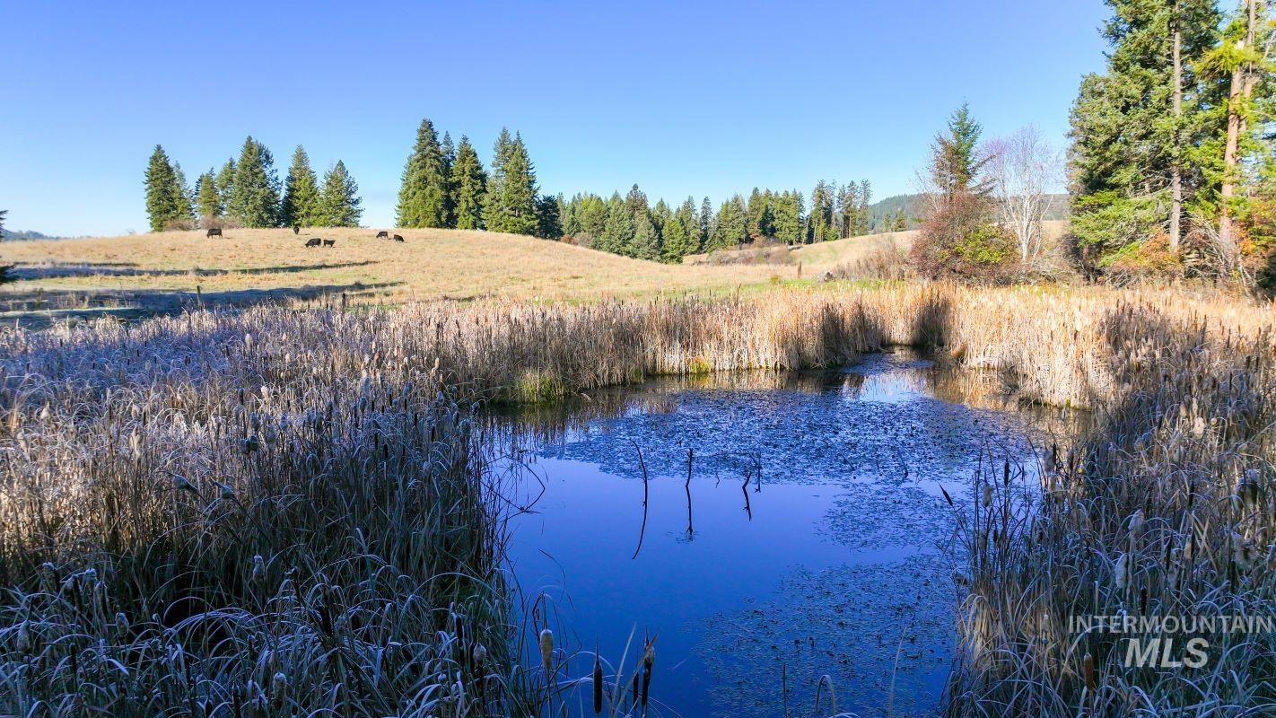 NKA 320acs Summer Rd, Orofino, Idaho 83544, Land For Sale, Price $1,950,000,MLS 98976725