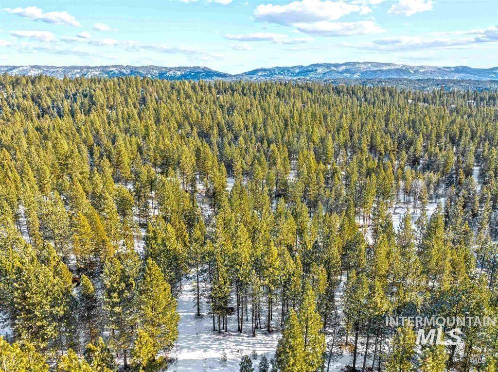 34 Silver Cloud Rd, Cascade, Idaho 83611, Land For Sale, Price $274,900,MLS 98976729