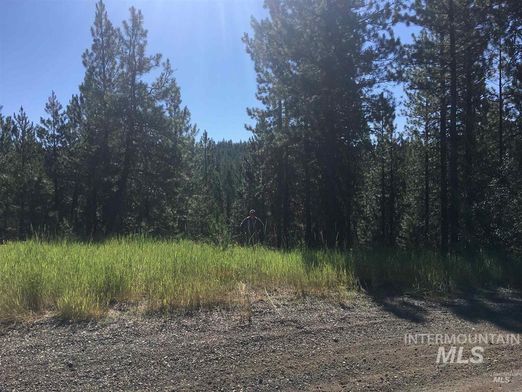 34 Silver Cloud Rd, Cascade, Idaho 83611, Land For Sale, Price $274,900,MLS 98976729