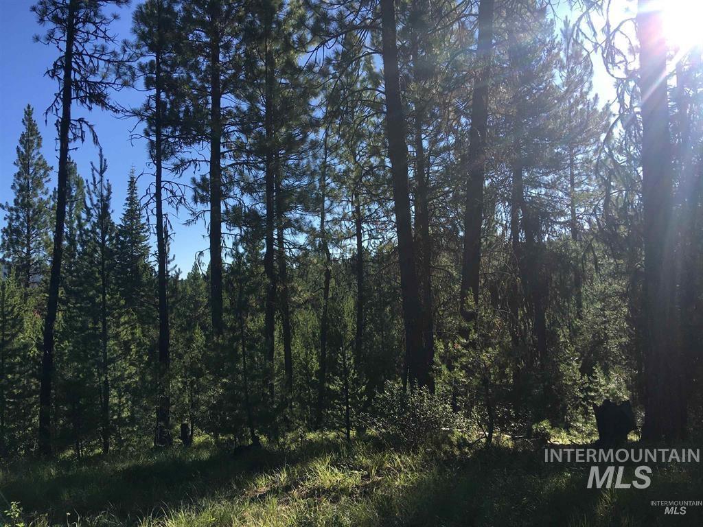 34 Silver Cloud Rd, Cascade, Idaho 83611, Land For Sale, Price $274,900,MLS 98976729