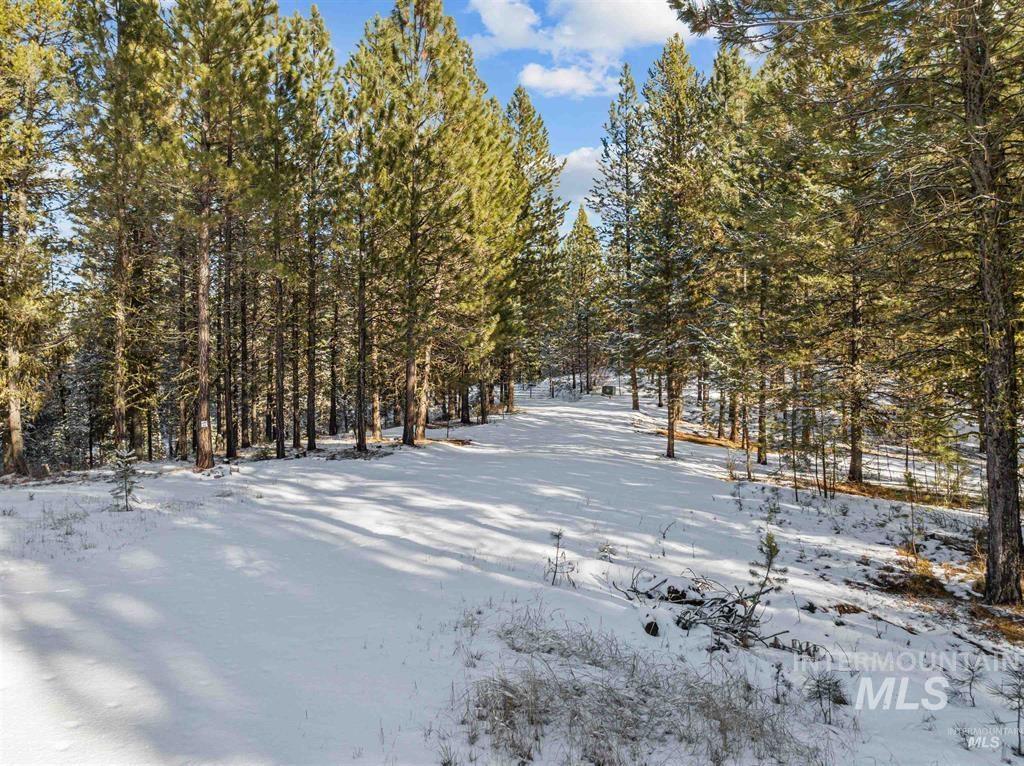 34 Silver Cloud Rd, Cascade, Idaho 83611, Land For Sale, Price $274,900,MLS 98976729