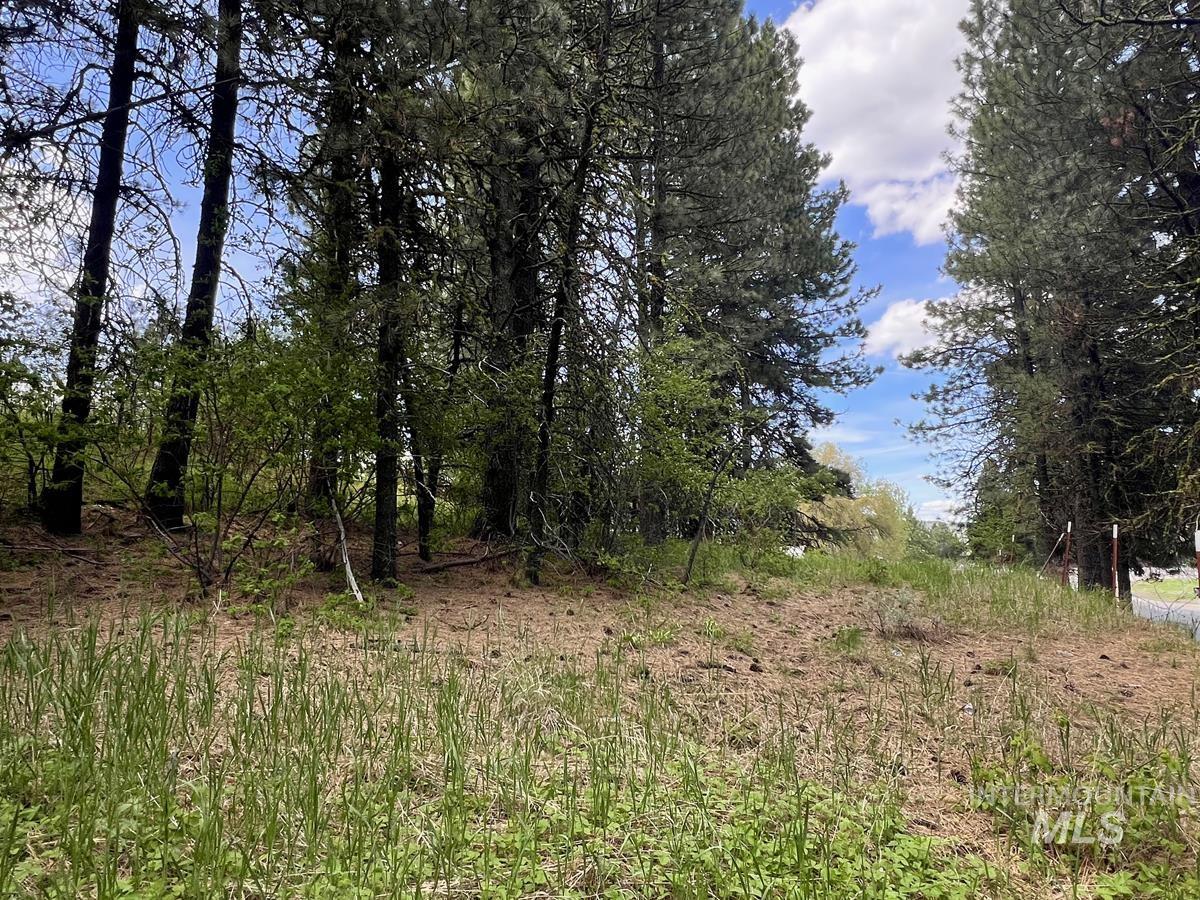 T75 LI Cabarton Road, Cascade, Idaho 83611, Land For Sale, Price $137,900, 98976747