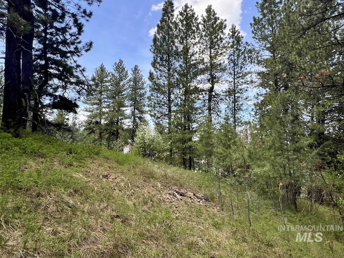 T75 LI Cabarton Road, Cascade, Idaho 83611, Land For Sale, Price $137,900, 98976747