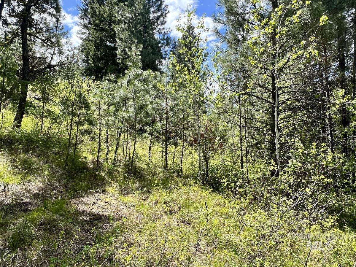 T75 LI Cabarton Road, Cascade, Idaho 83611, Land For Sale, Price $137,900, 98976747