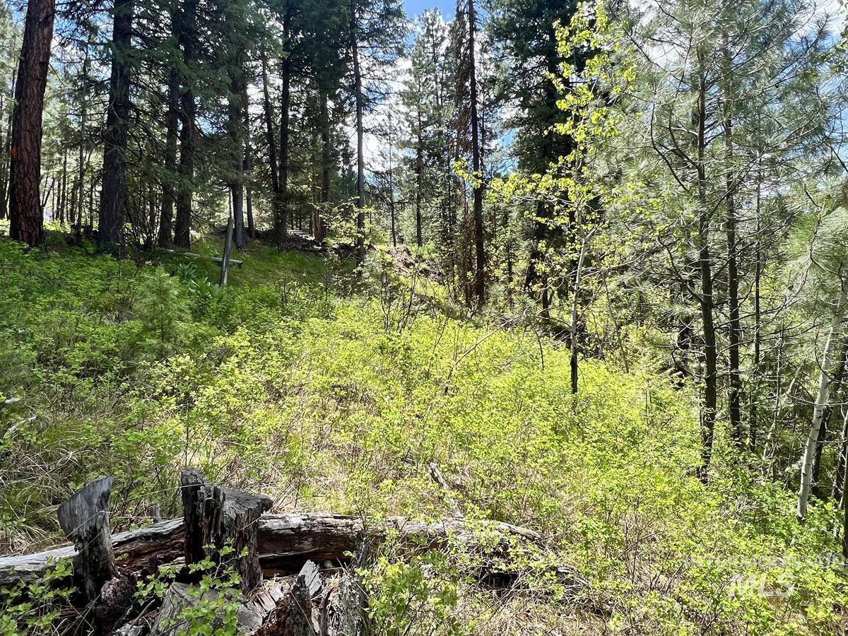 T75 LI Cabarton Road, Cascade, Idaho 83611, Land For Sale, Price $137,900, 98976747