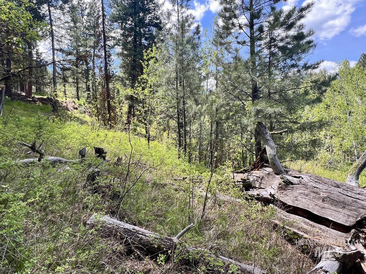 T75 LI Cabarton Road, Cascade, Idaho 83611, Land For Sale, Price $137,900, 98976747
