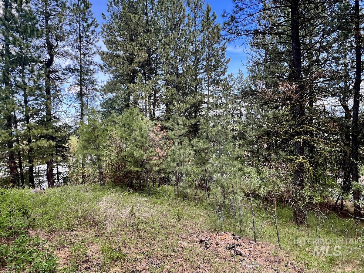 T75 LI Cabarton Road, Cascade, Idaho 83611, Land For Sale, Price $137,900, 98976747