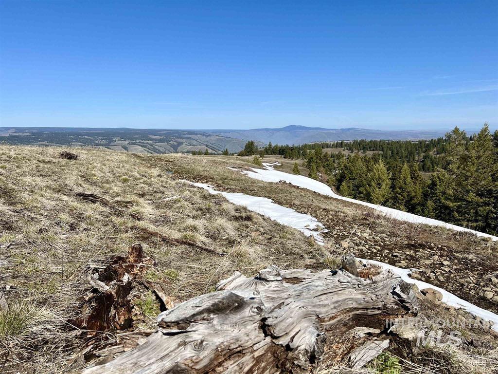 TBD Pilgrim Ridge Road Lot 36, White Bird, Idaho 83554, Land For Sale, Price $139,000, 98976763