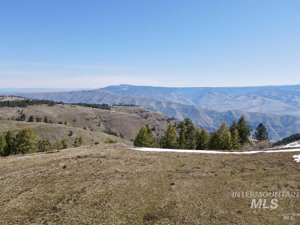 TBD Pilgrim Ridge Road Lot 36, White Bird, Idaho 83554, Land For Sale, Price $139,000, 98976763