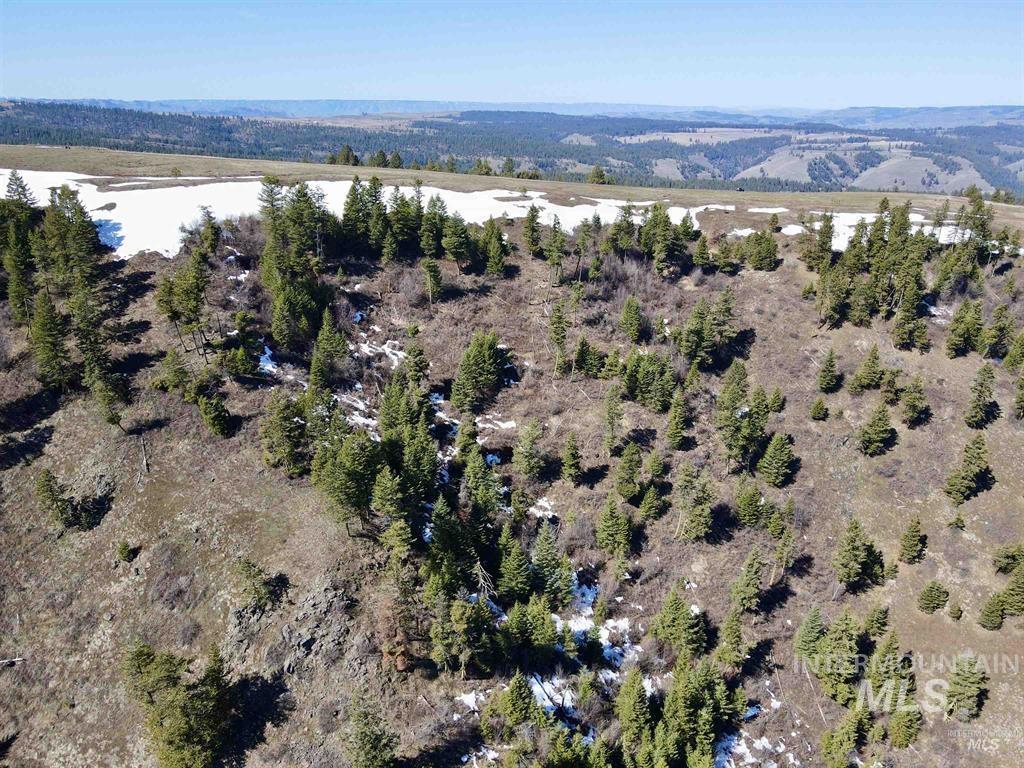TBD Pilgrim Ridge Road Lot 36, White Bird, Idaho 83554, Land For Sale, Price $139,000, 98976763
