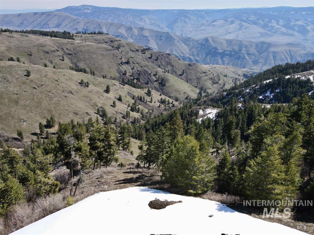 TBD Pilgrim Ridge Road Lot 36, White Bird, Idaho 83554, Land For Sale, Price $139,000, 98976763